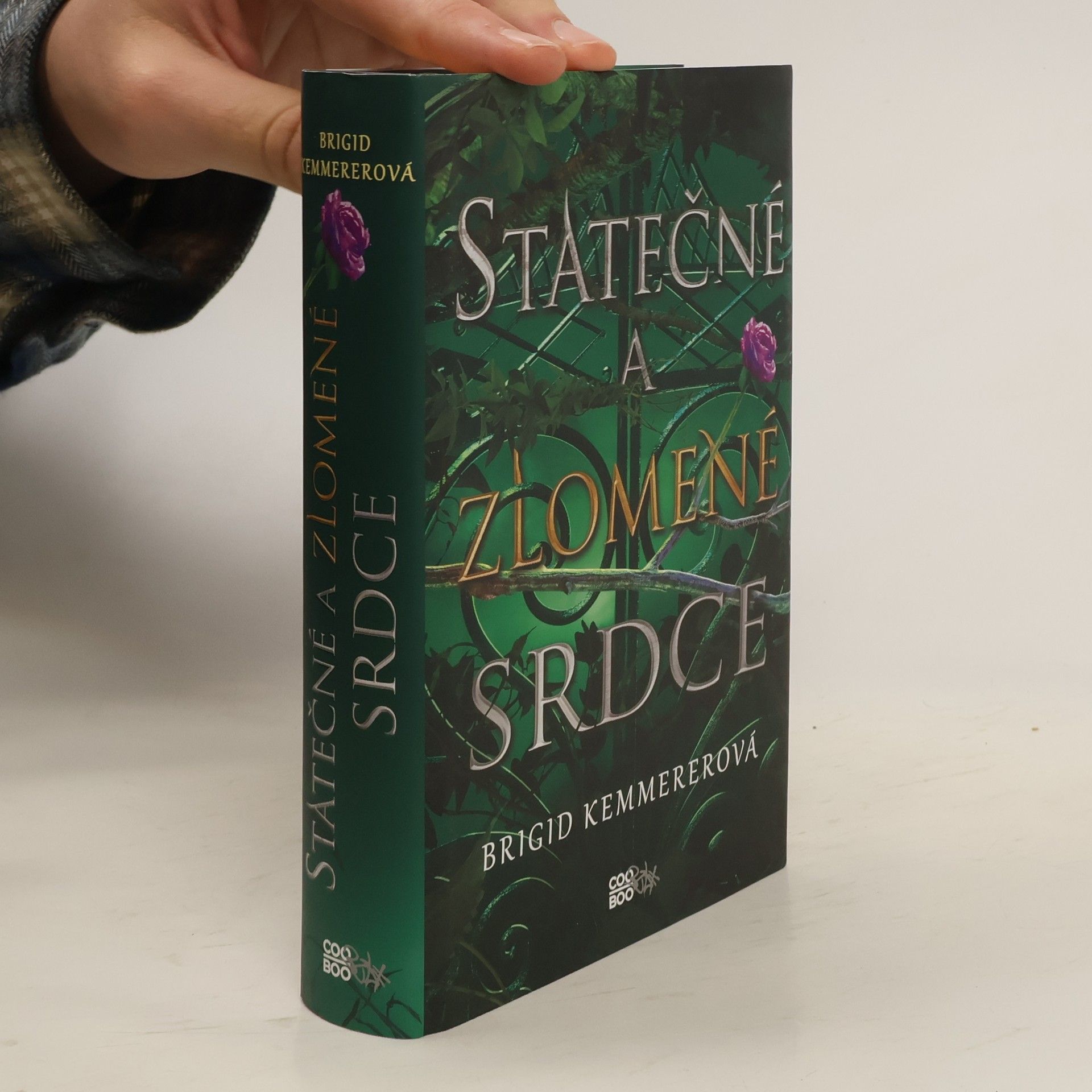 Brigid Kemmerer Statečné a zlomené srdce