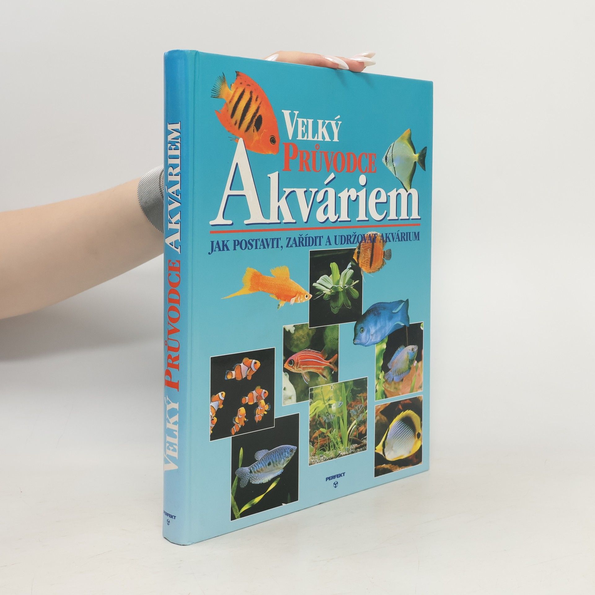 Thierry Maitre Allain Velký průvodce akváriem