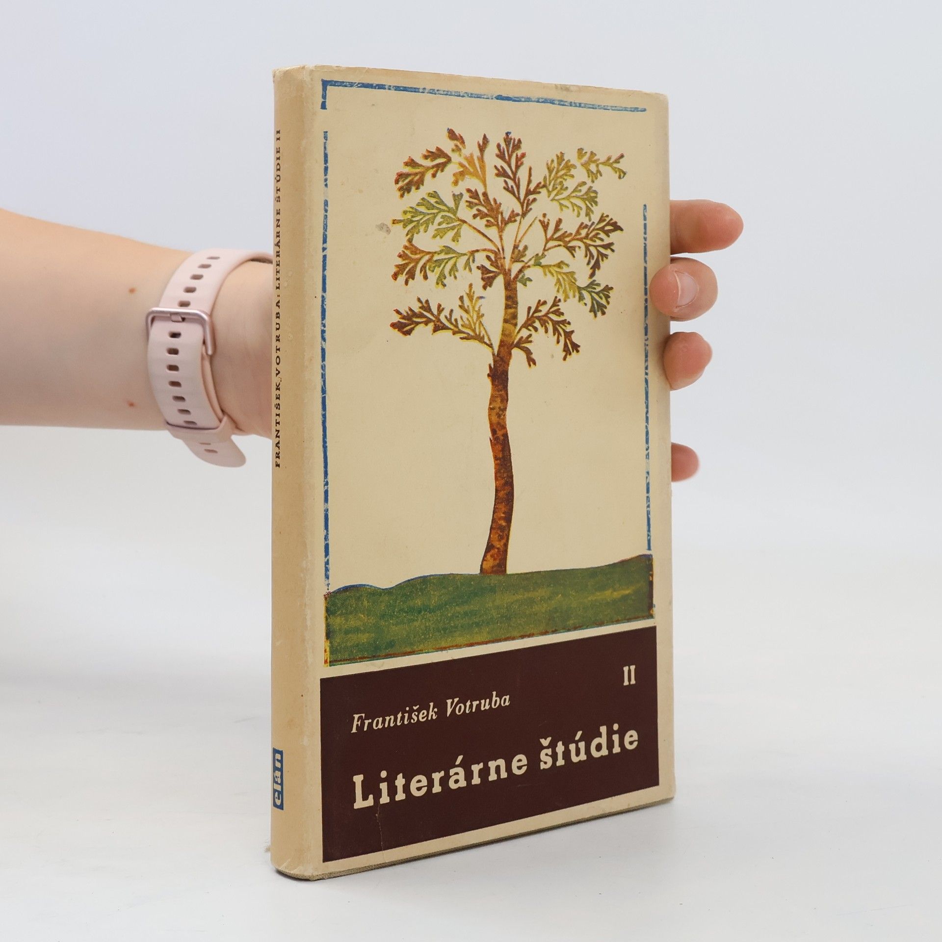 František Votruba Literárne štúdie II