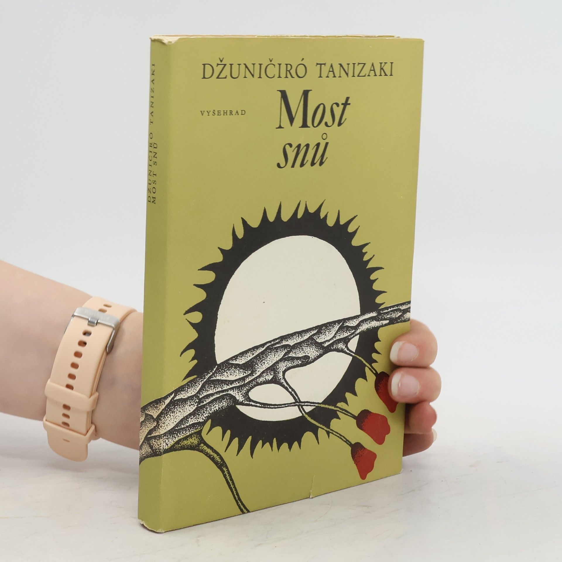 Džuničiró Tanizaki Most snů