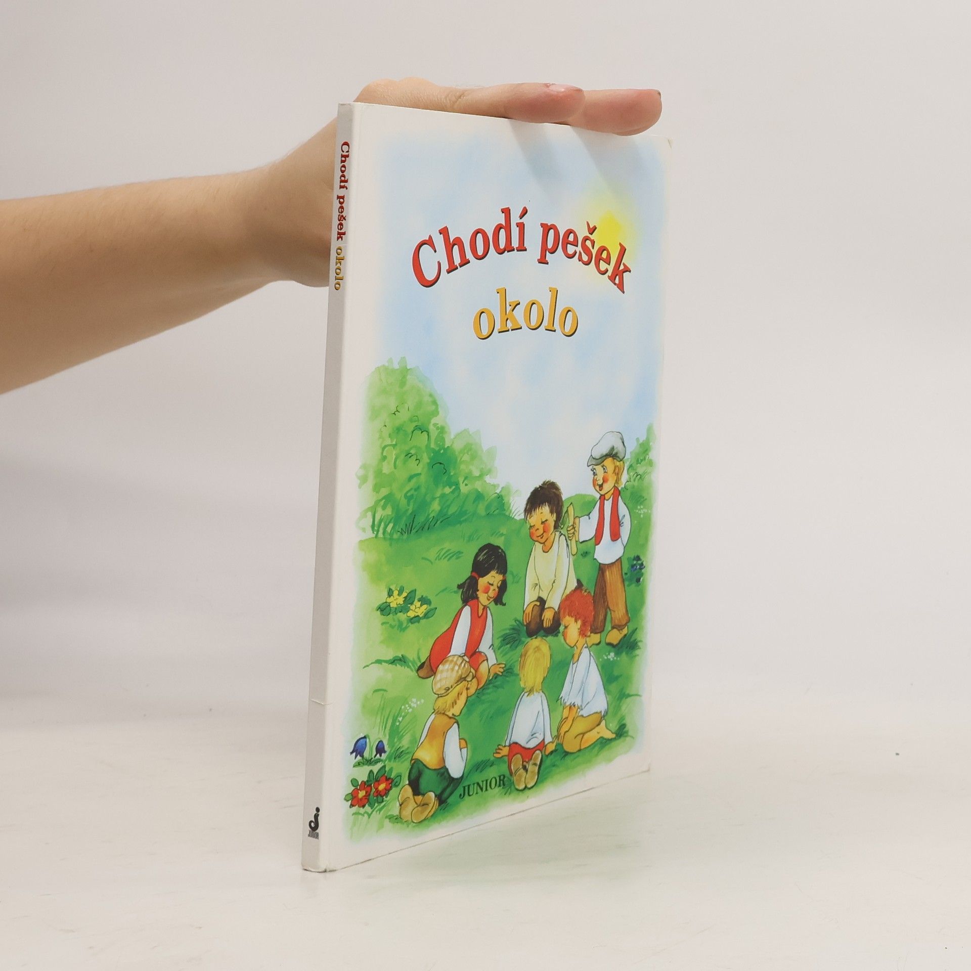 Vladimíra Vopičková Chodí pešek okolo (leporelo)