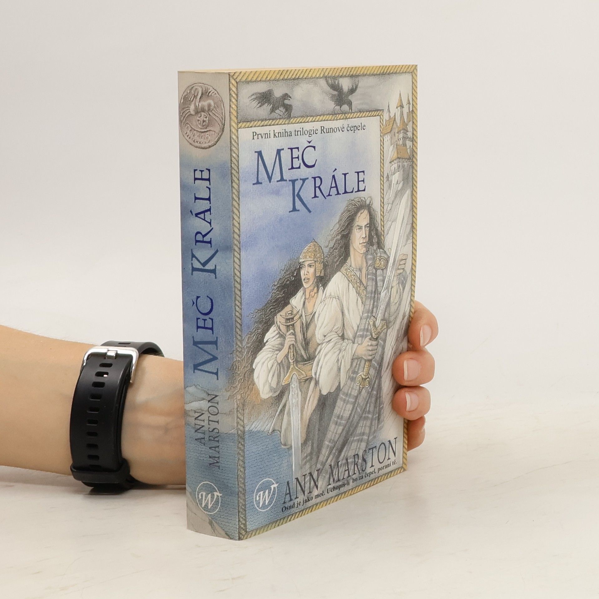 Ann Marston Meč krále