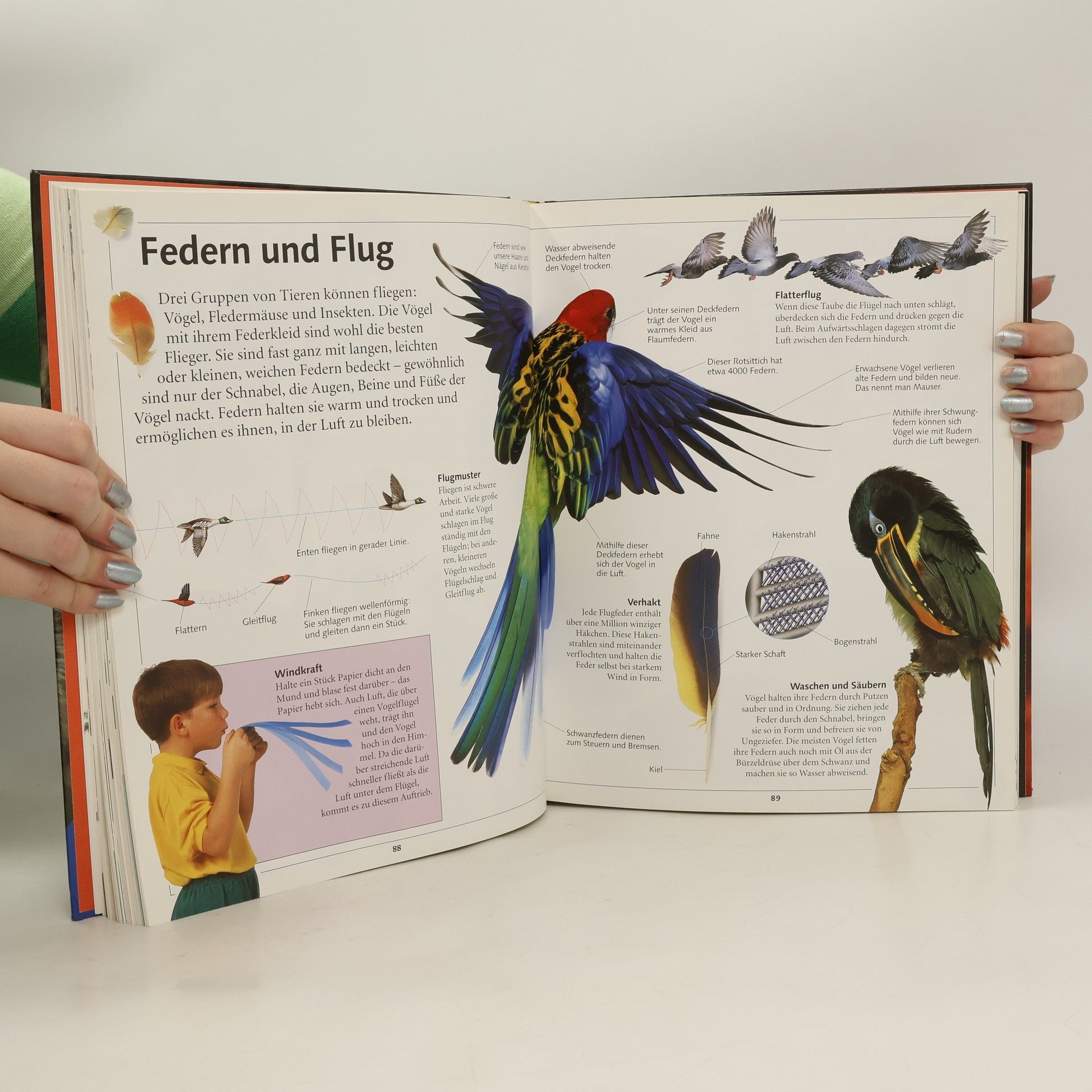 Faszination Wissen