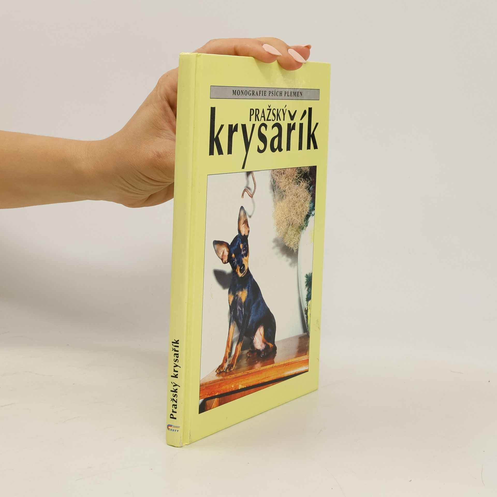 kolektiv Pražský krysařík