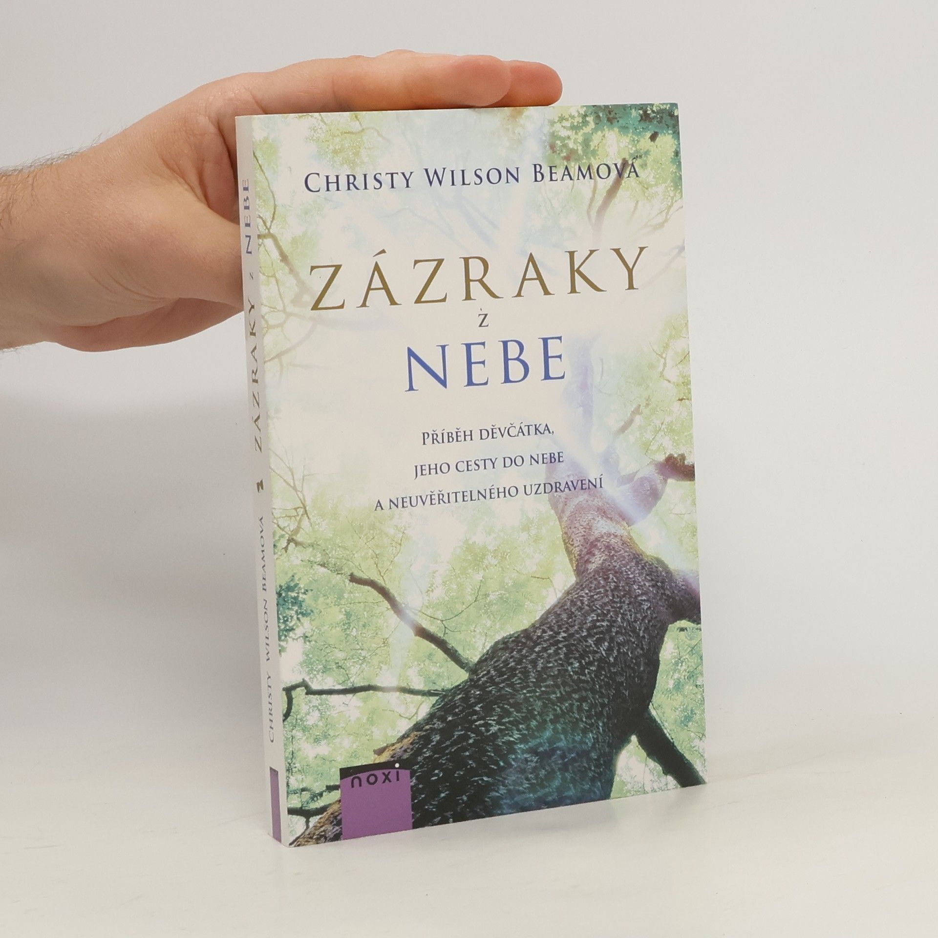 Christy Wilson Beam Zázraky z nebe
