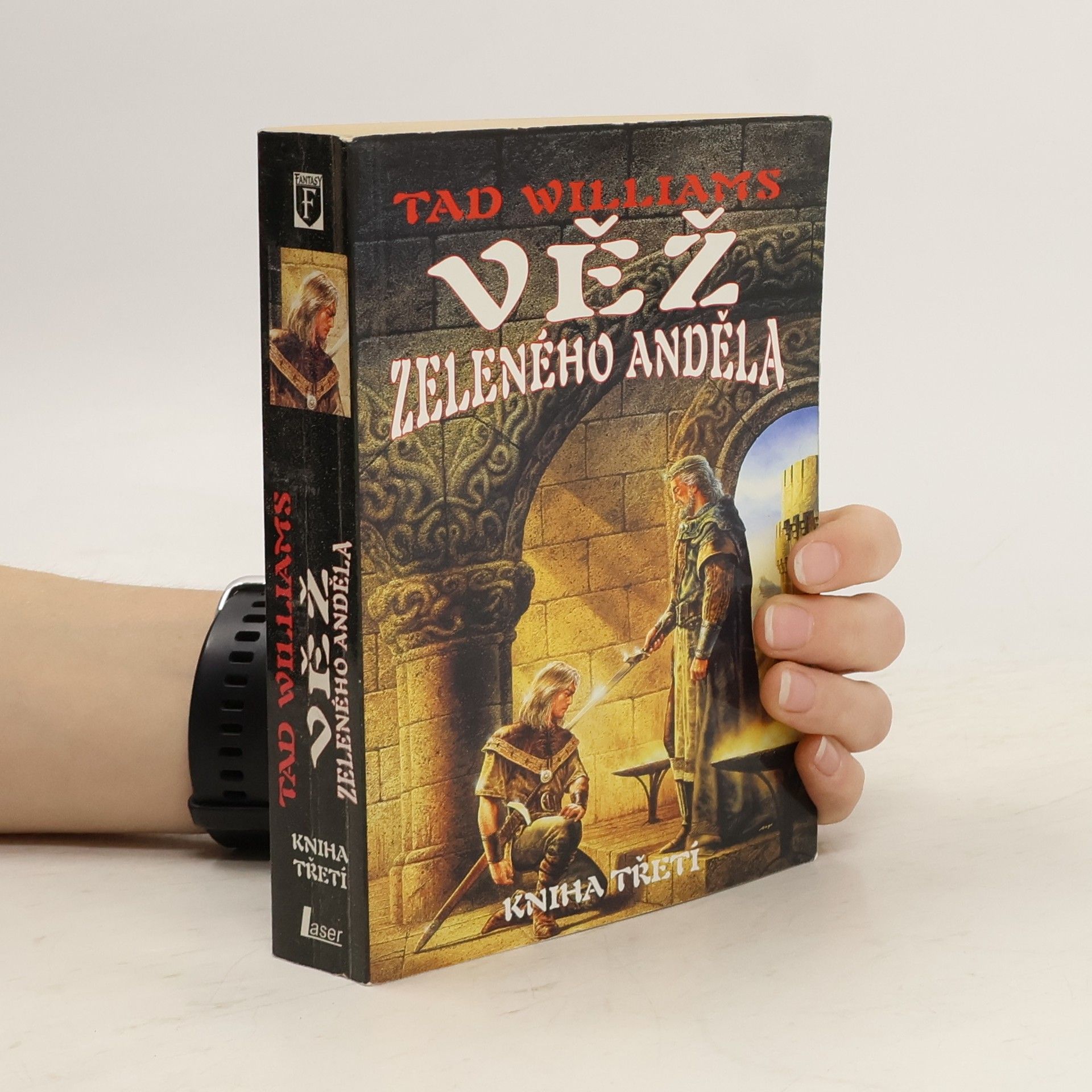 Tad Williams Věž Zeleného anděla. Kniha třetí