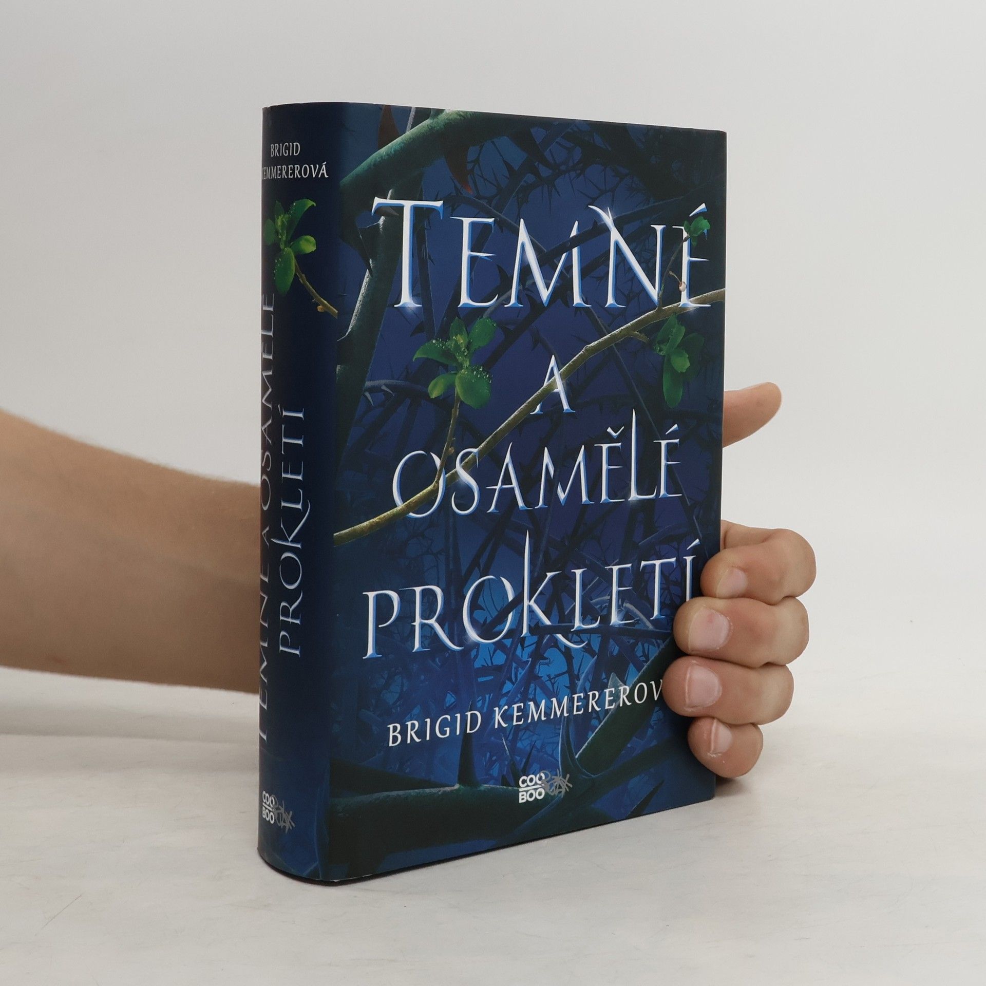 Brigid Kemmerer Temné a osamělé prokletí