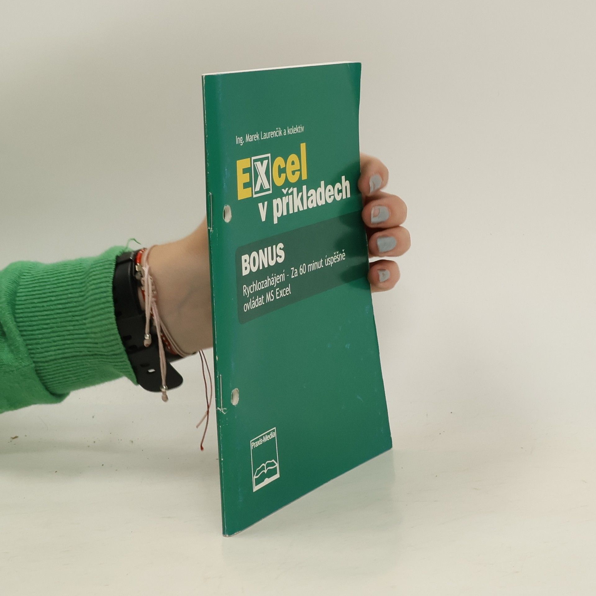 Marek Laurenčík Excel v příkladech