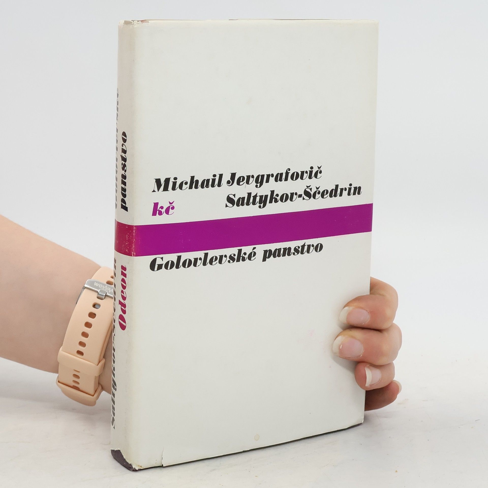 Michail Jevgrafovič Saltykov Ščedrin Golovlevské panstvo