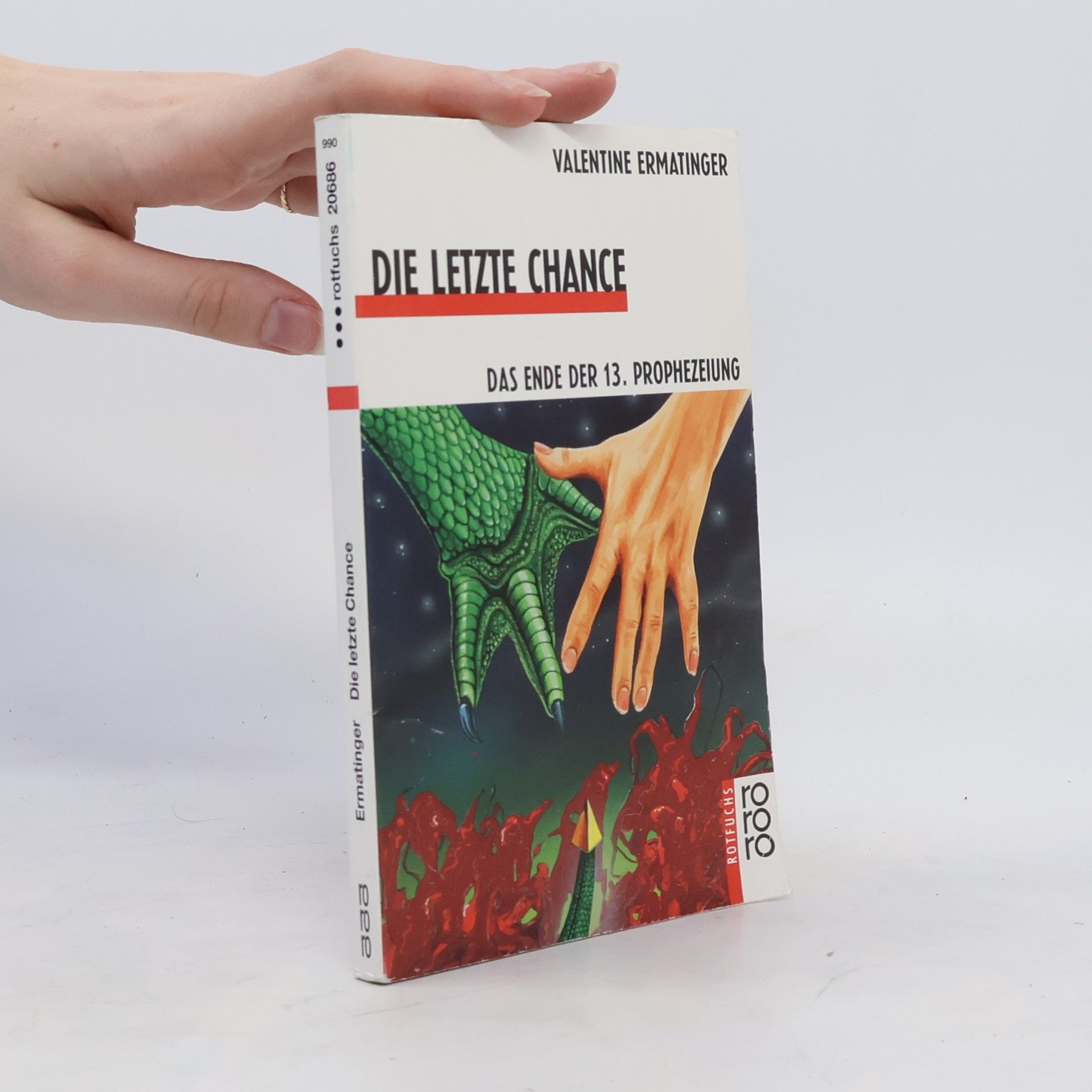 Valentine Ermatinger Die letzte Chance