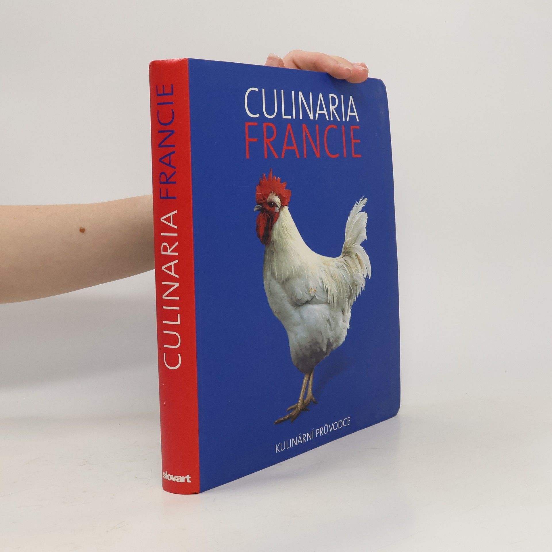 André Dominé Culinaria Francie