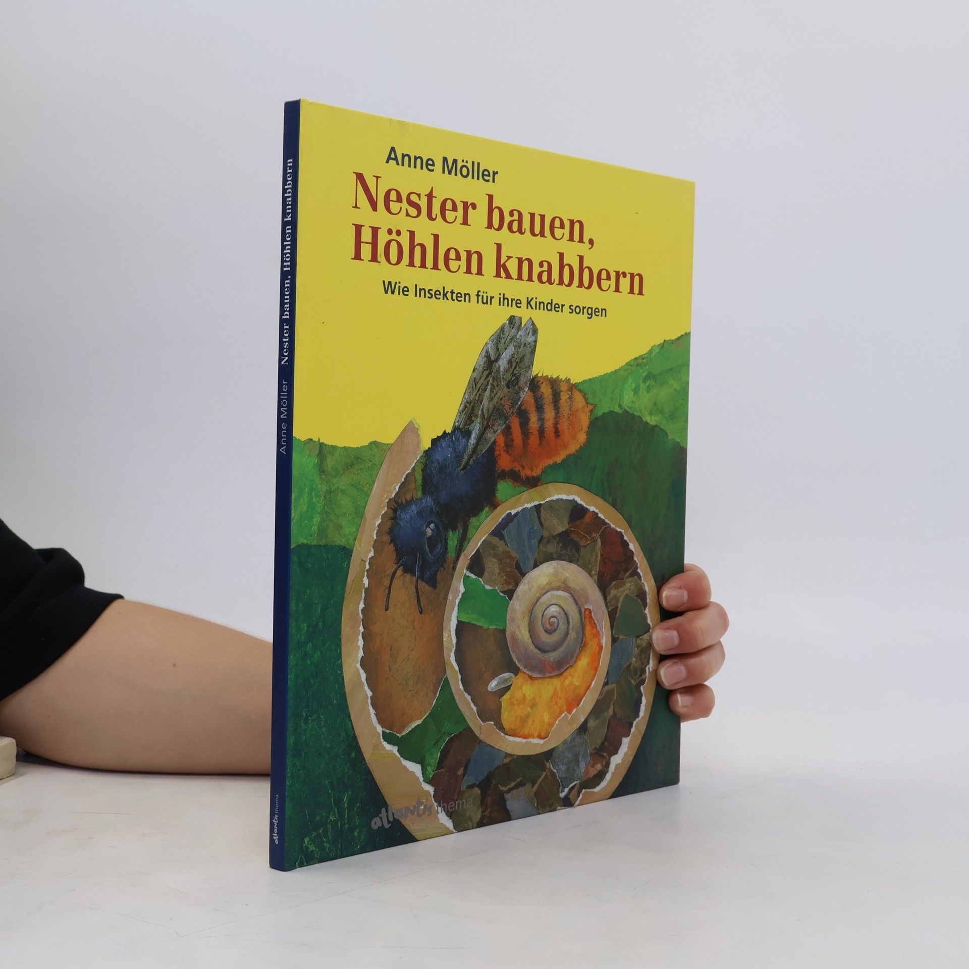Anne Möller Nester bauen, Höhlen knabbern