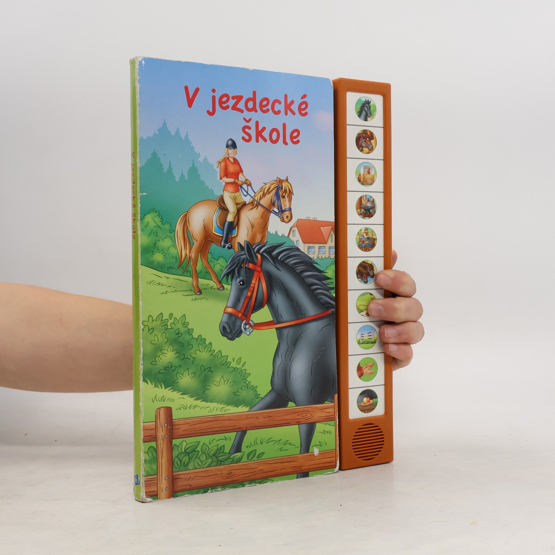 Collective V jezdecké škole