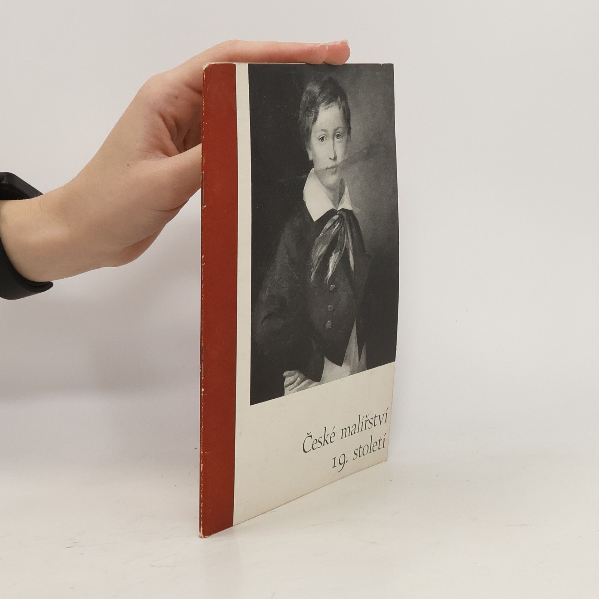 Autorenkollektiv České malířství 19. století