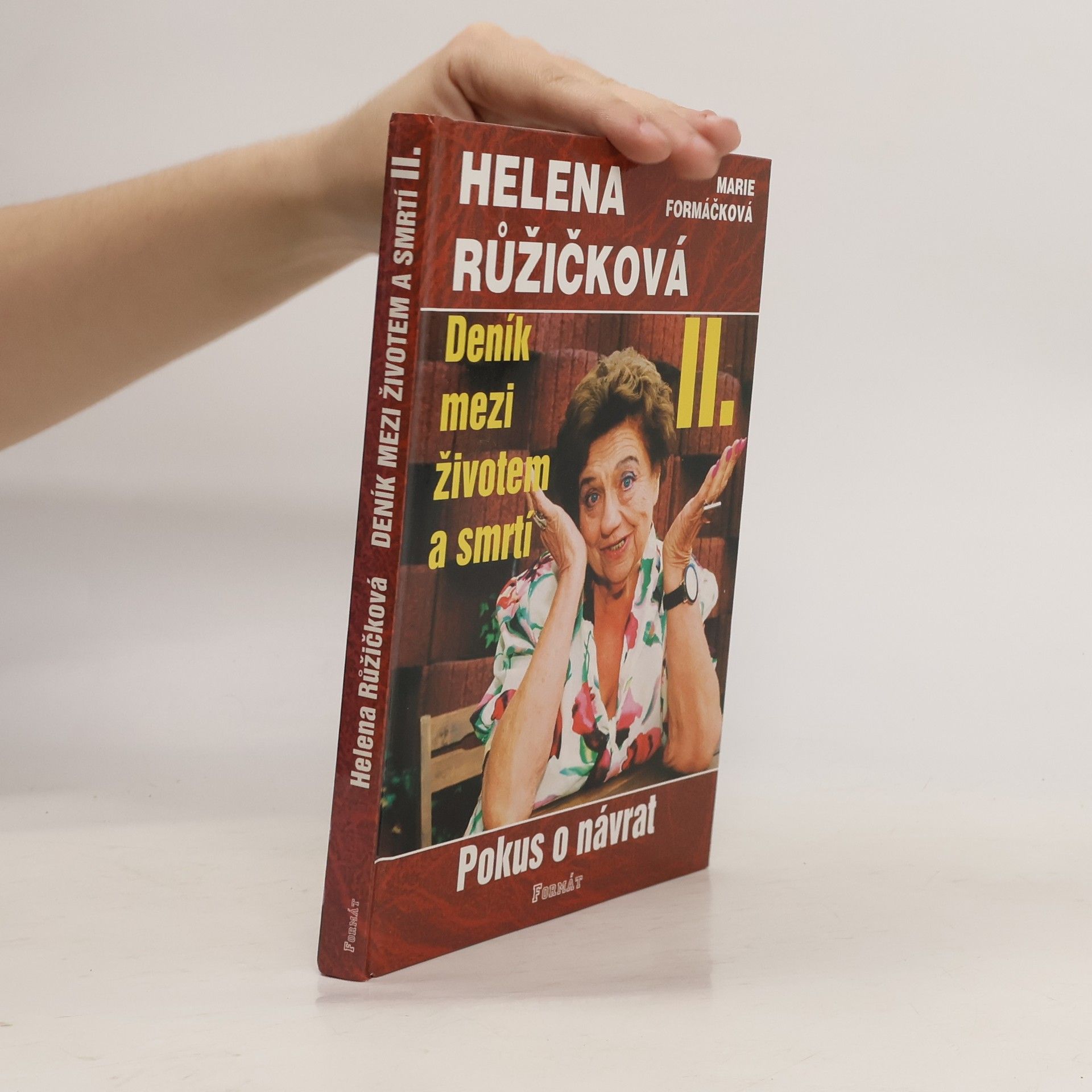 Helena Růžičková Deník mezi životem a smrtí. II., Pokus o návrat