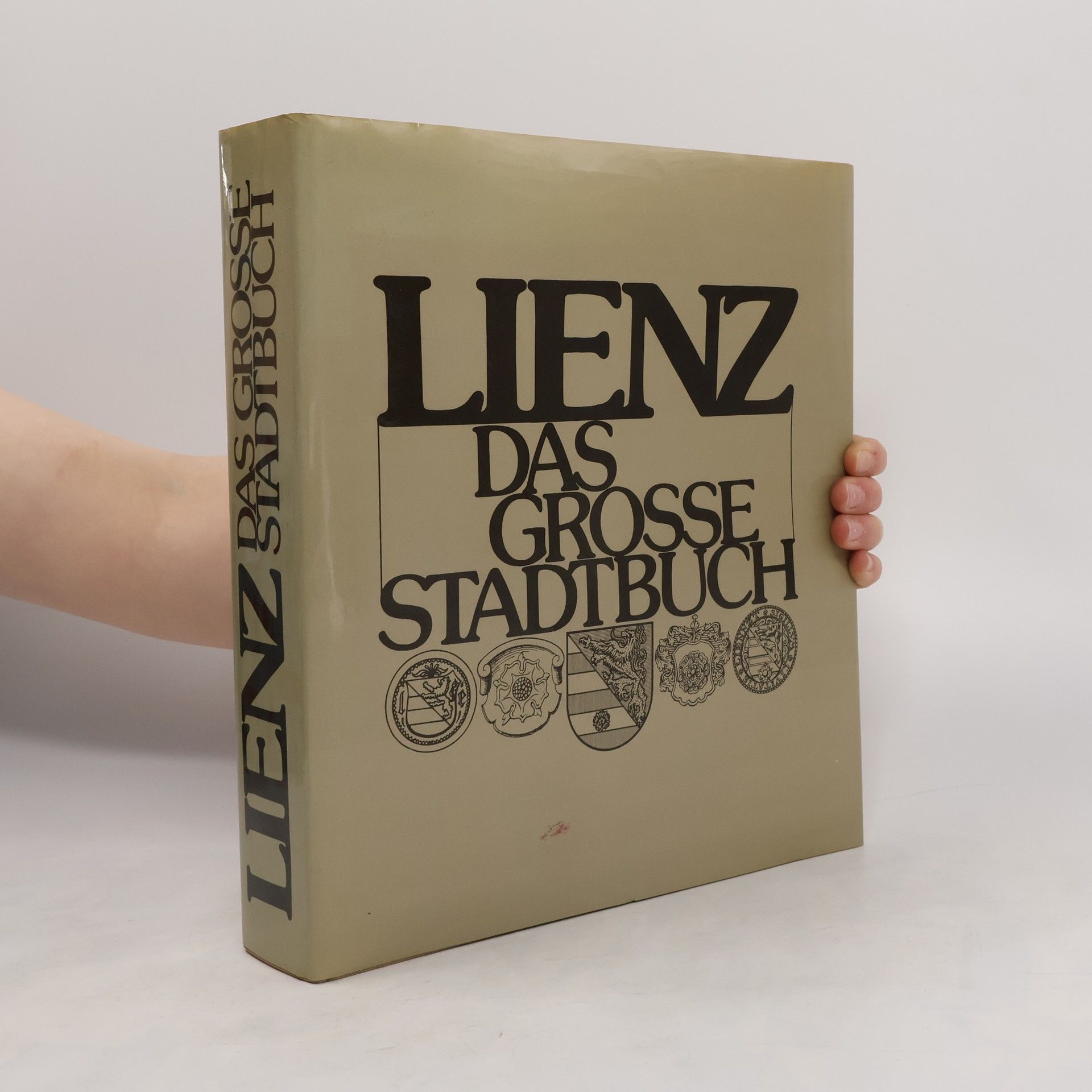Autorenkollektiv Lienz. Das grosse Stadtbuch