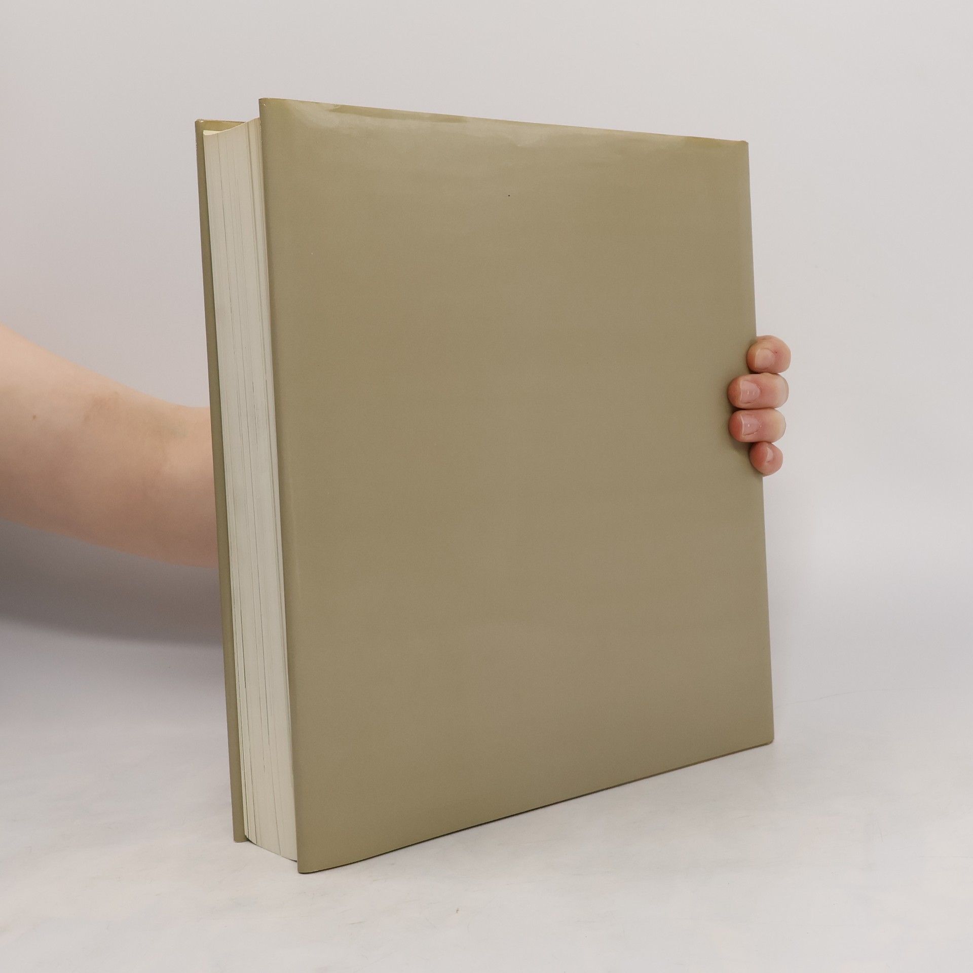 Autorenkollektiv Lienz. Das grosse Stadtbuch