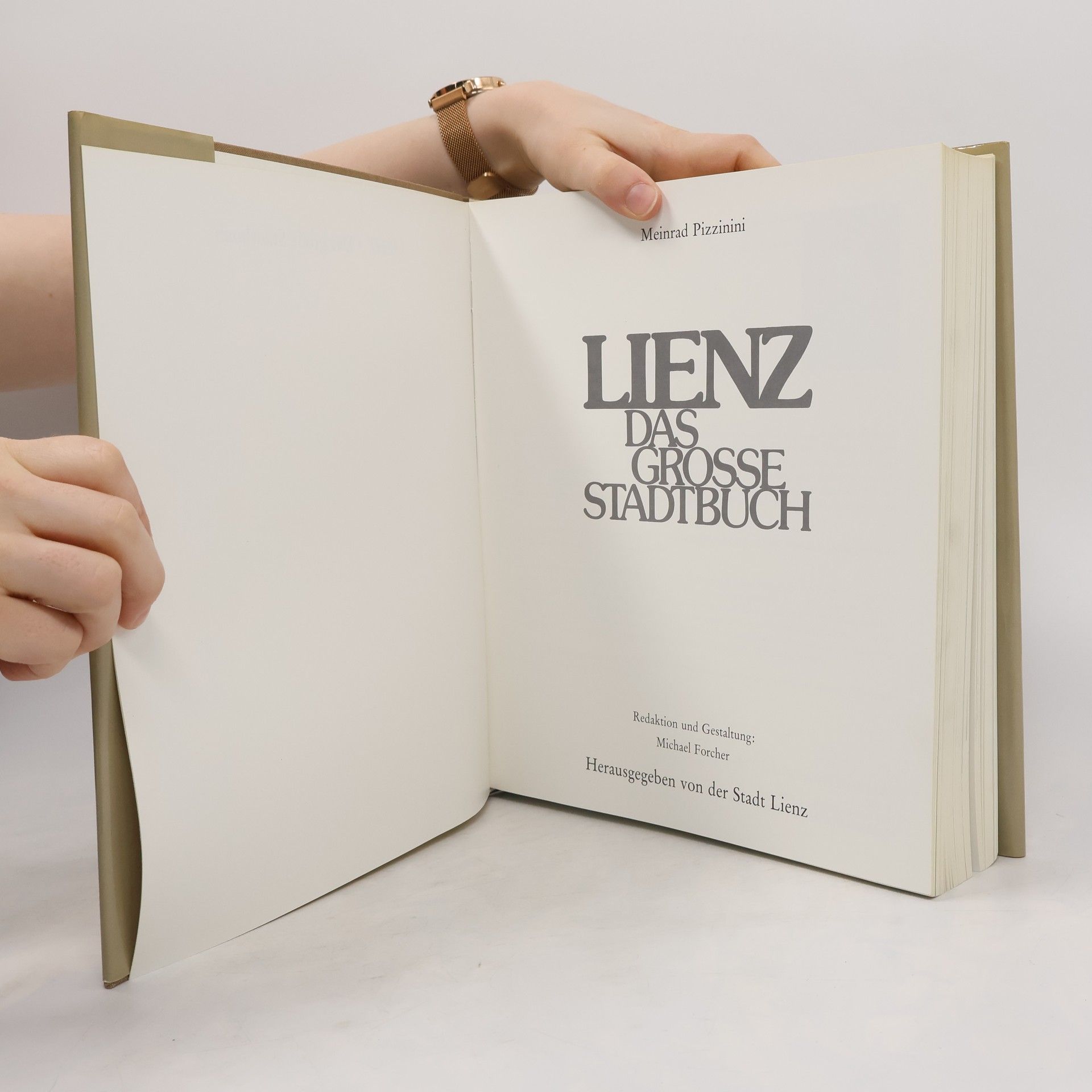 Autorenkollektiv Lienz. Das grosse Stadtbuch