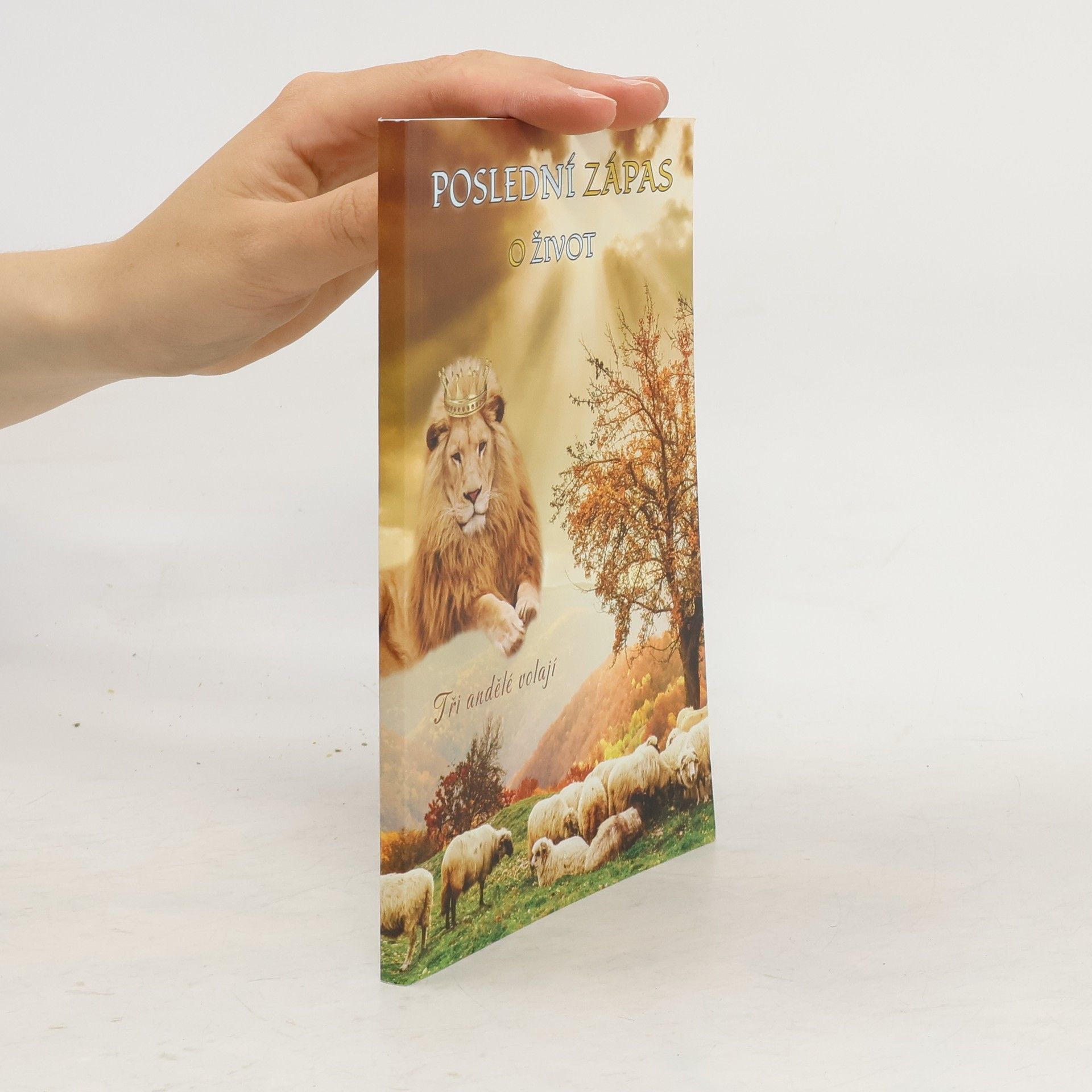 Alena Dvořáková Poslední zápas o život Tři andělé volají