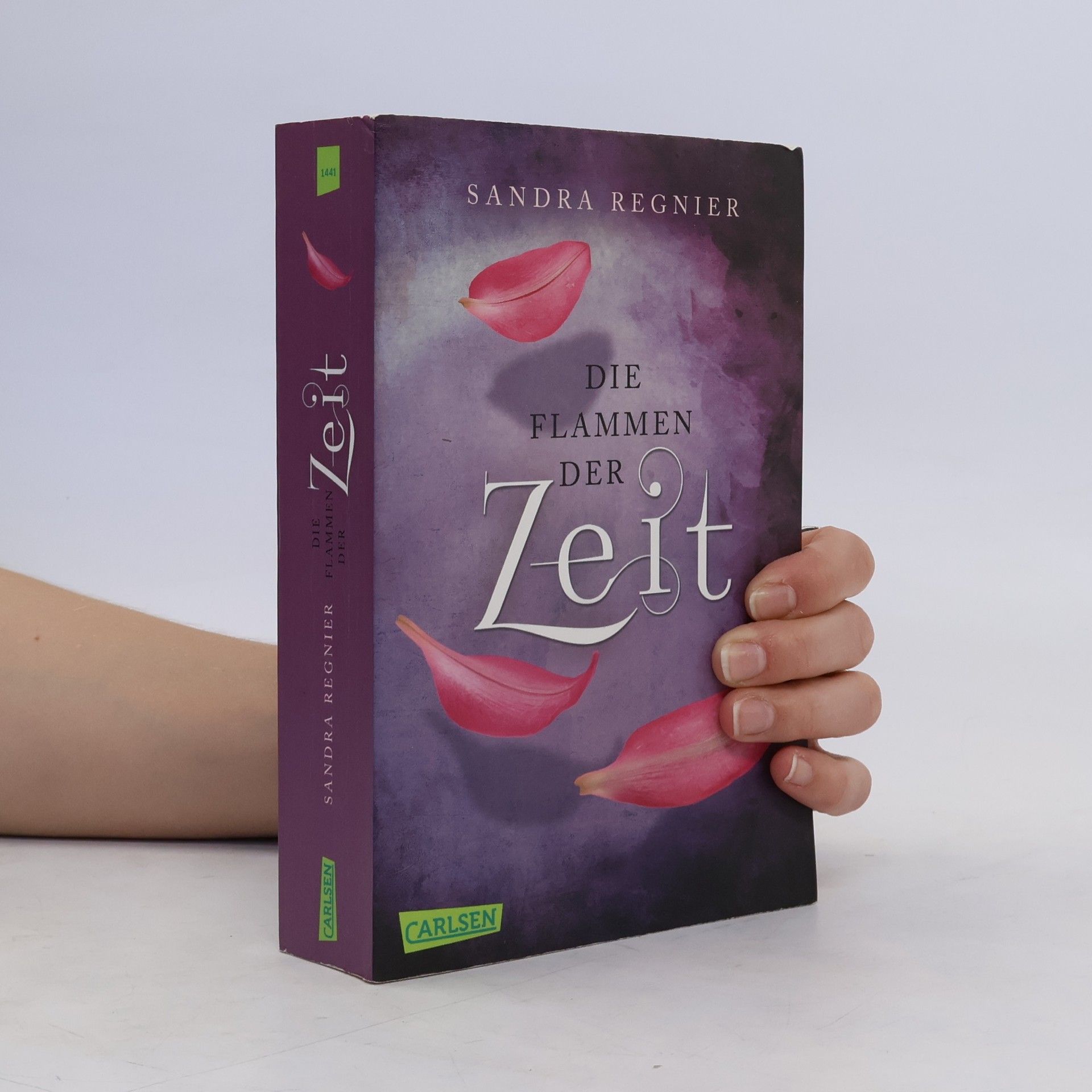 Sandra Regnier Die Flammen der Zeit