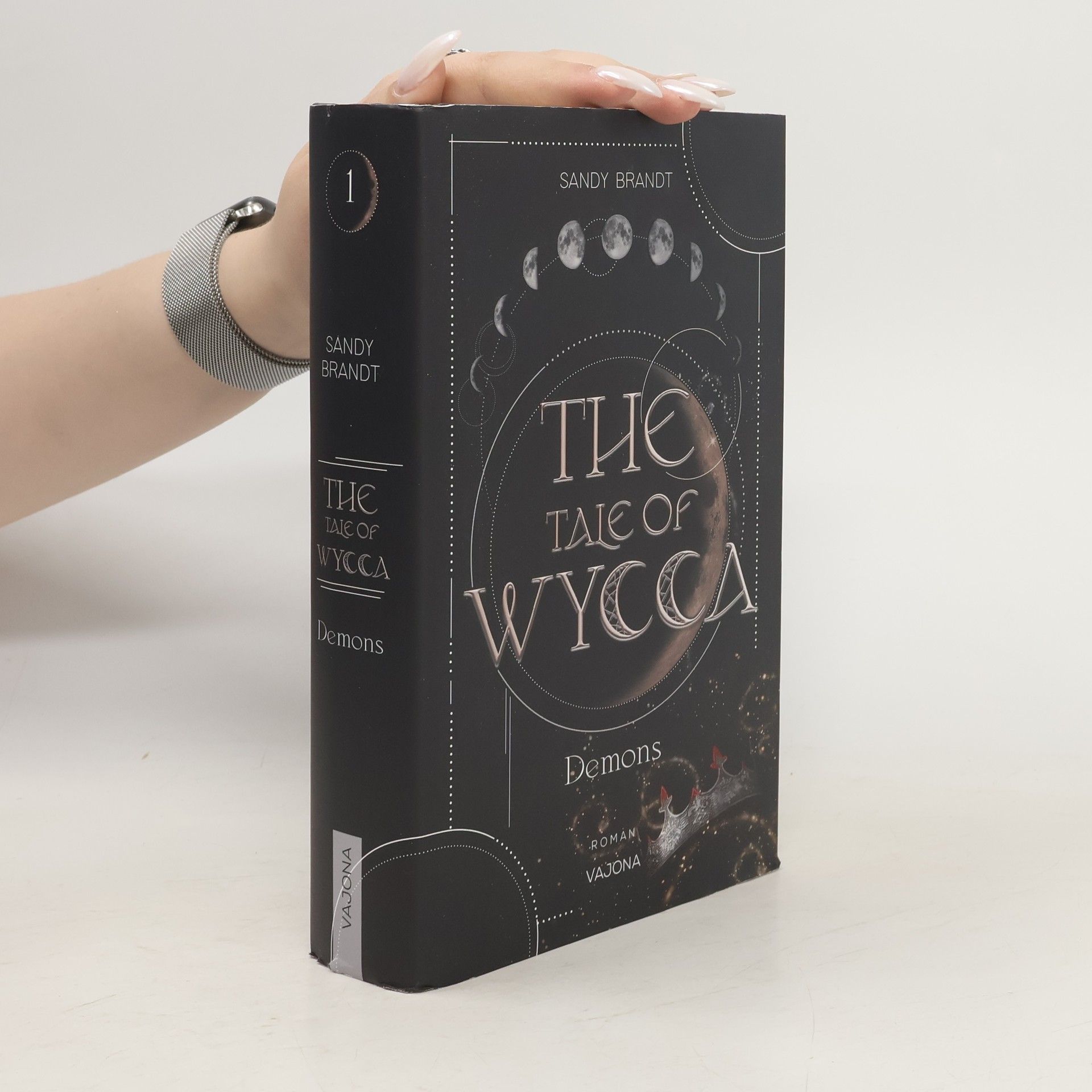 Sandy Brandt THE TALE OF WYCCA: Demons (WYCCA-Reihe 1)