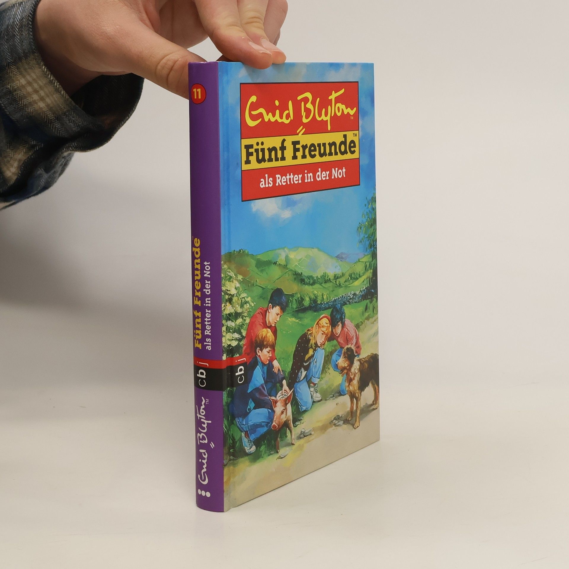 Enid Blyton Fünf Freunde als Retter in der Not