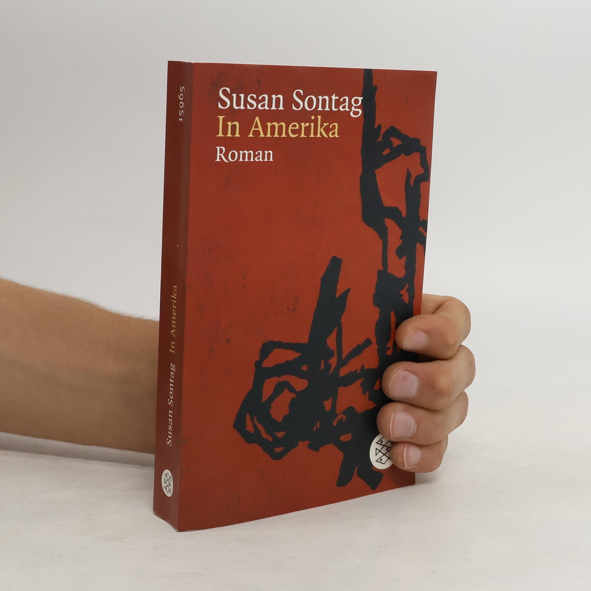 Susan Sontag In Amerika