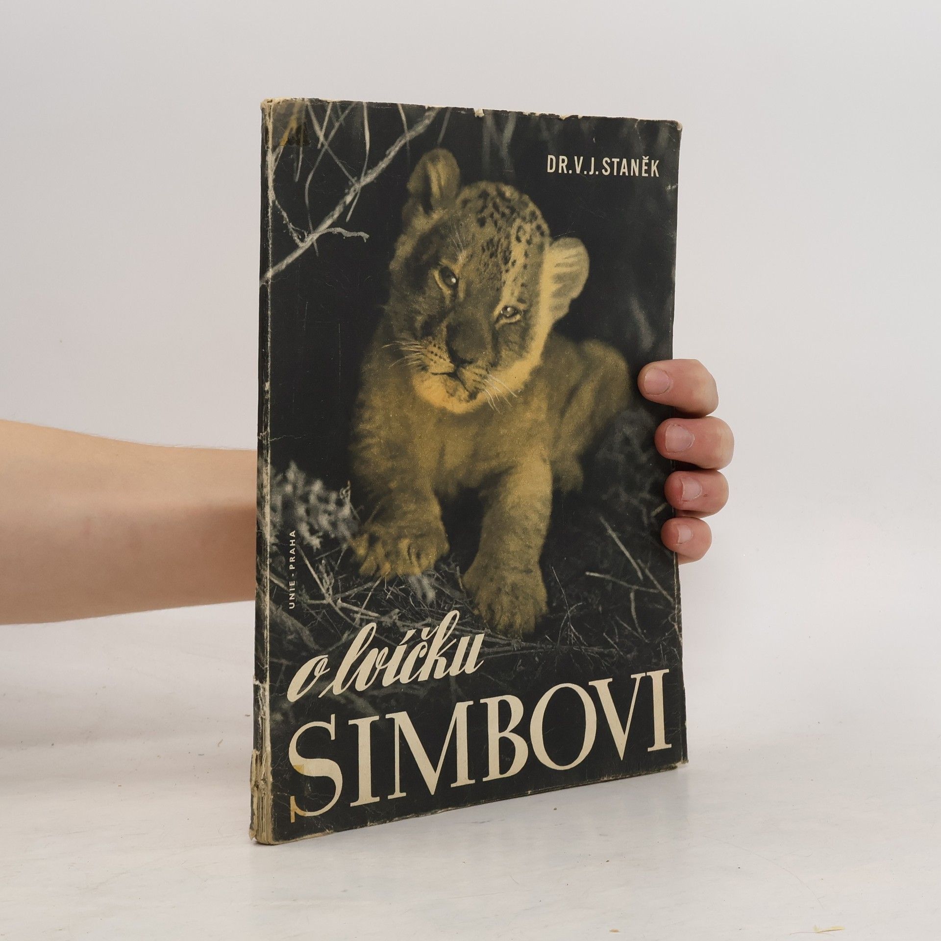 Václav Jan Staněk O lvíčku Simbovi