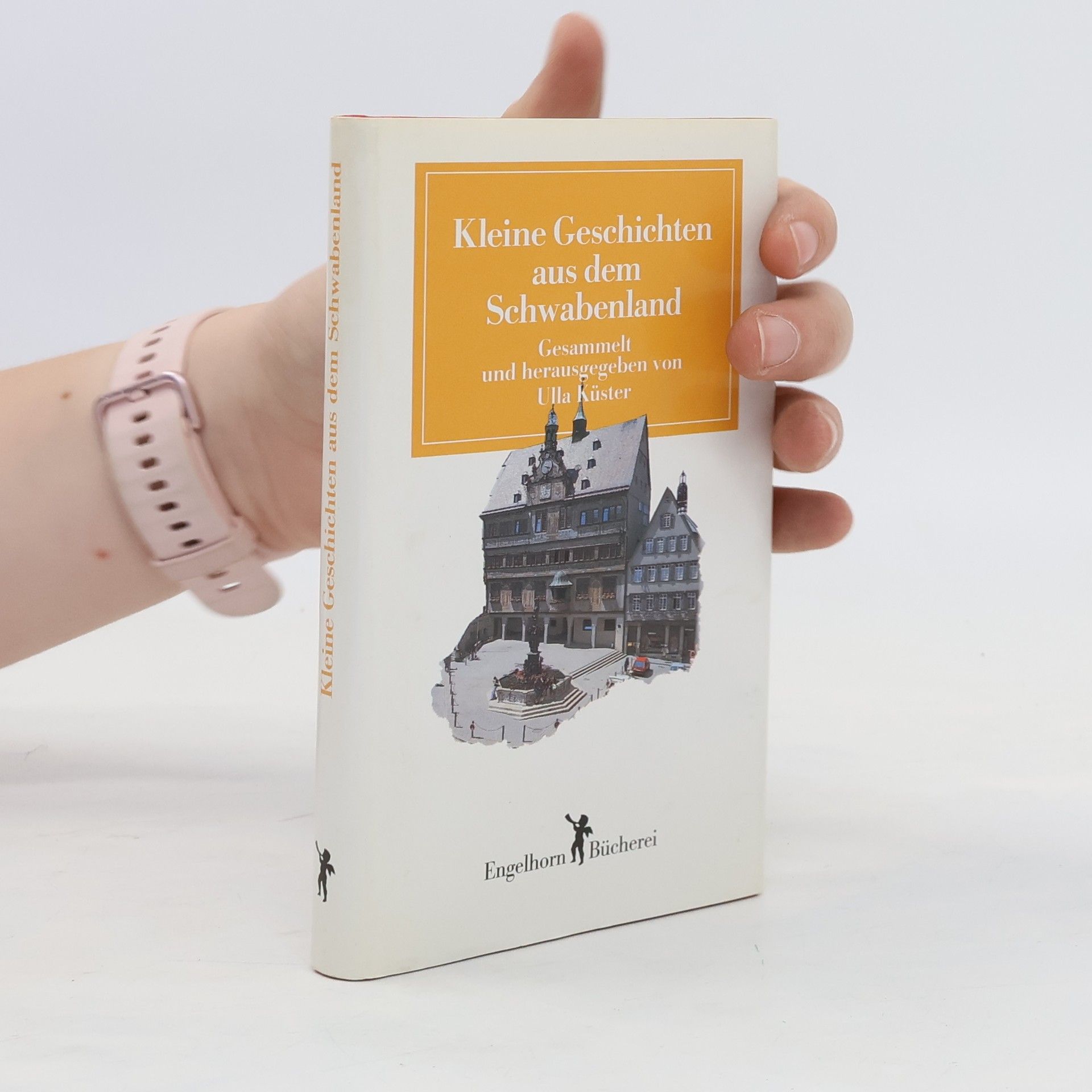 Autorenkollektiv Kleine Geschichten aus dem Schwabenland
