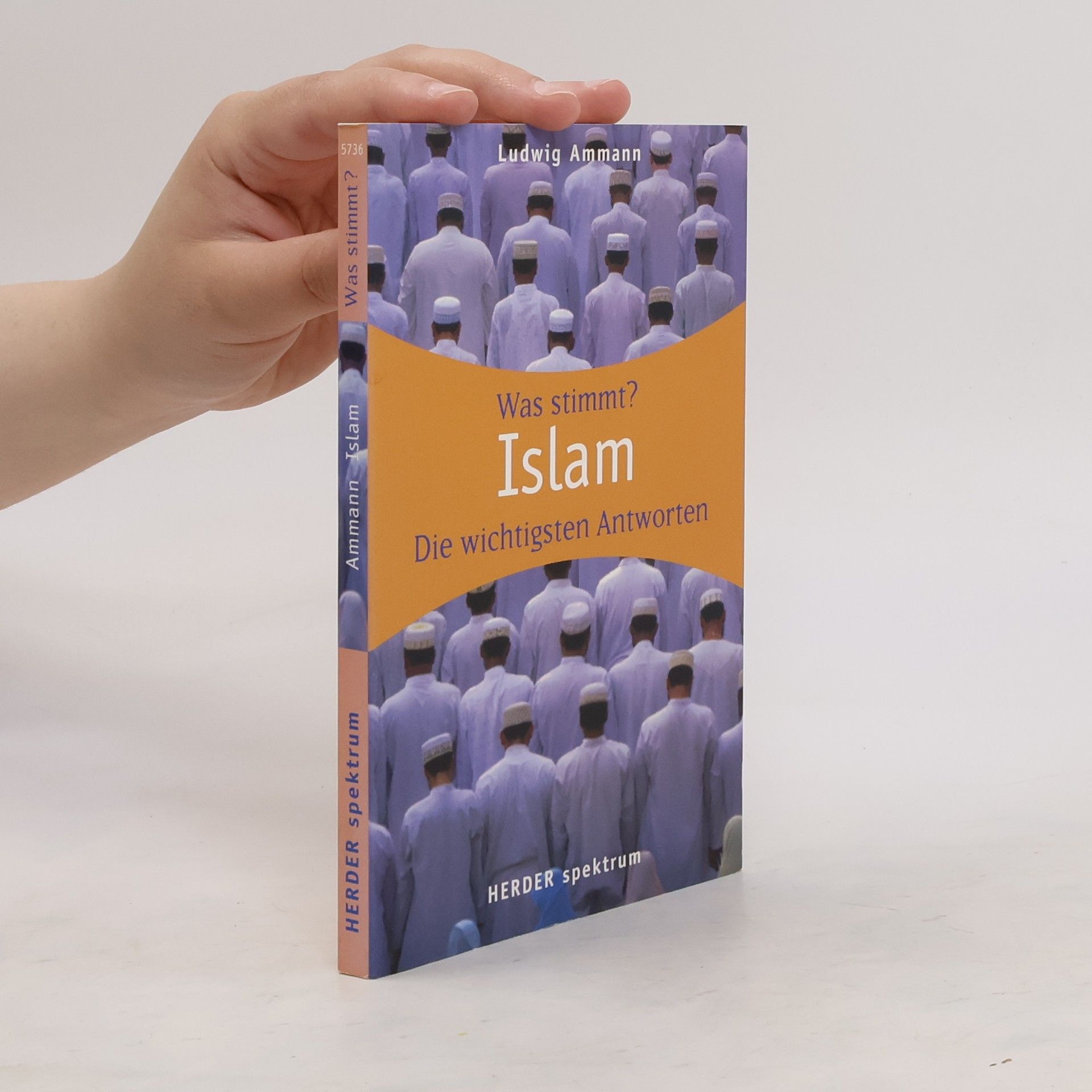 Ludwig Ammann Islam. Was stimmt? Die wichtigsten Antworten