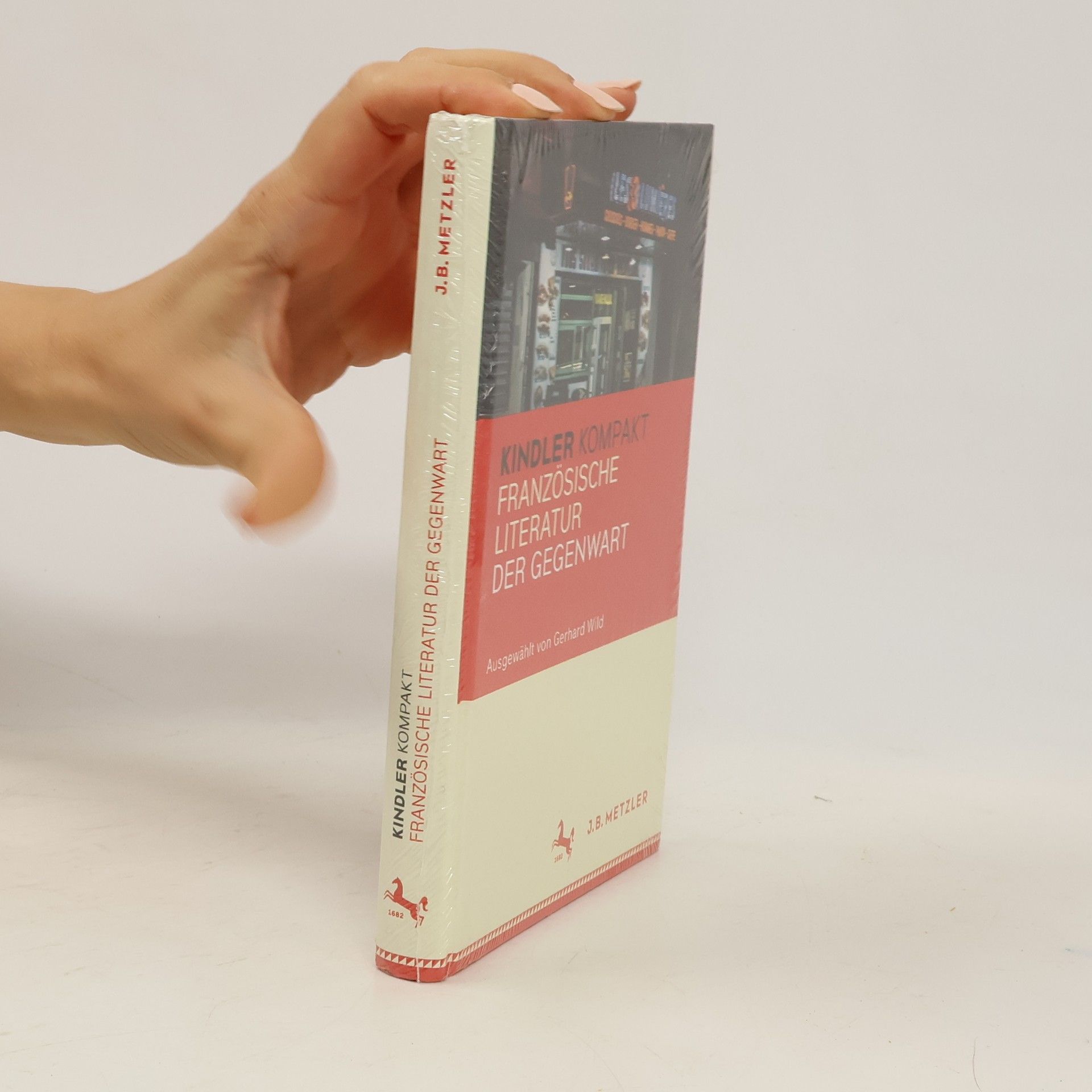 Gerhard Wild Kindler kompakt Französische Literatur der Gegenwart