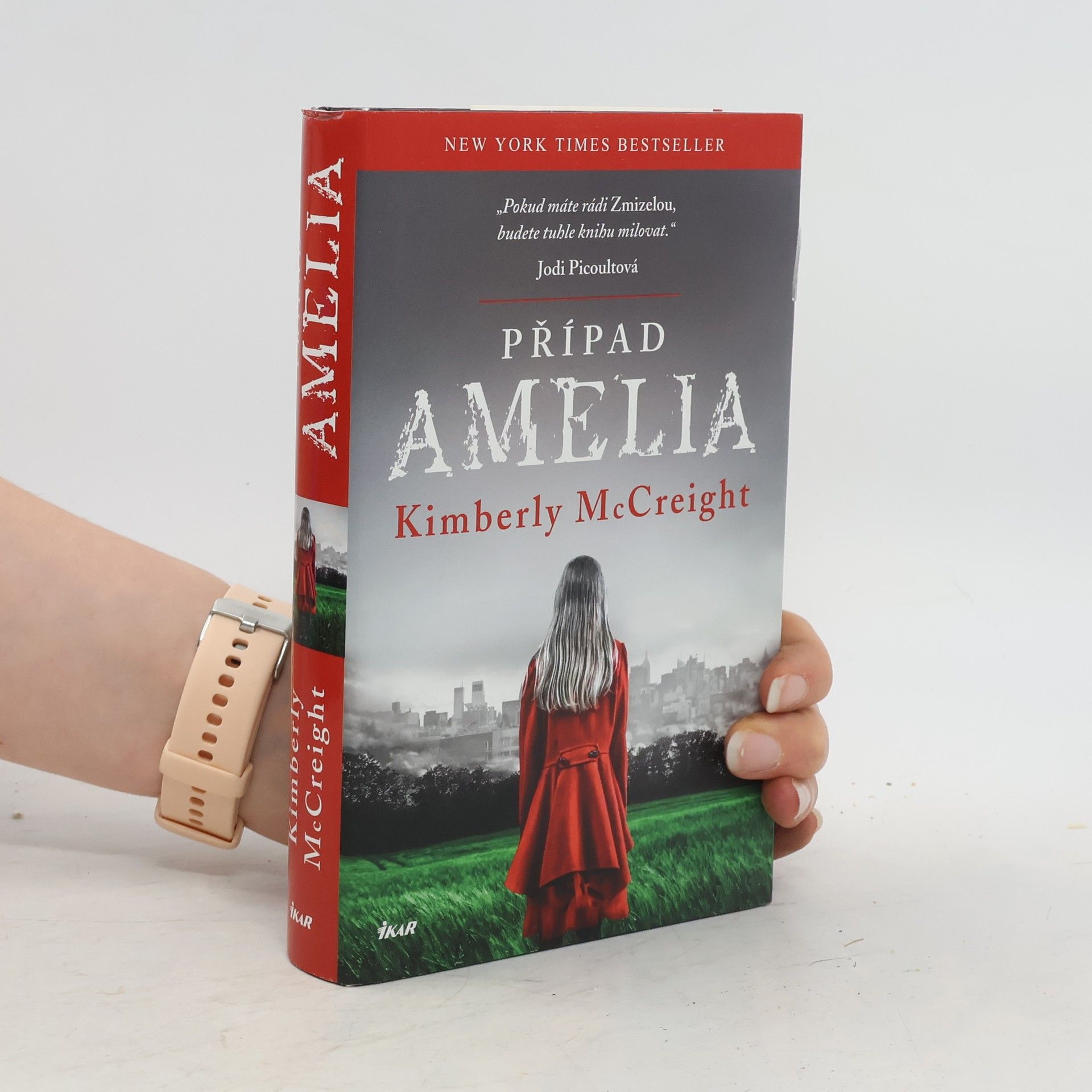 Kimberly McCreight Případ Amelia