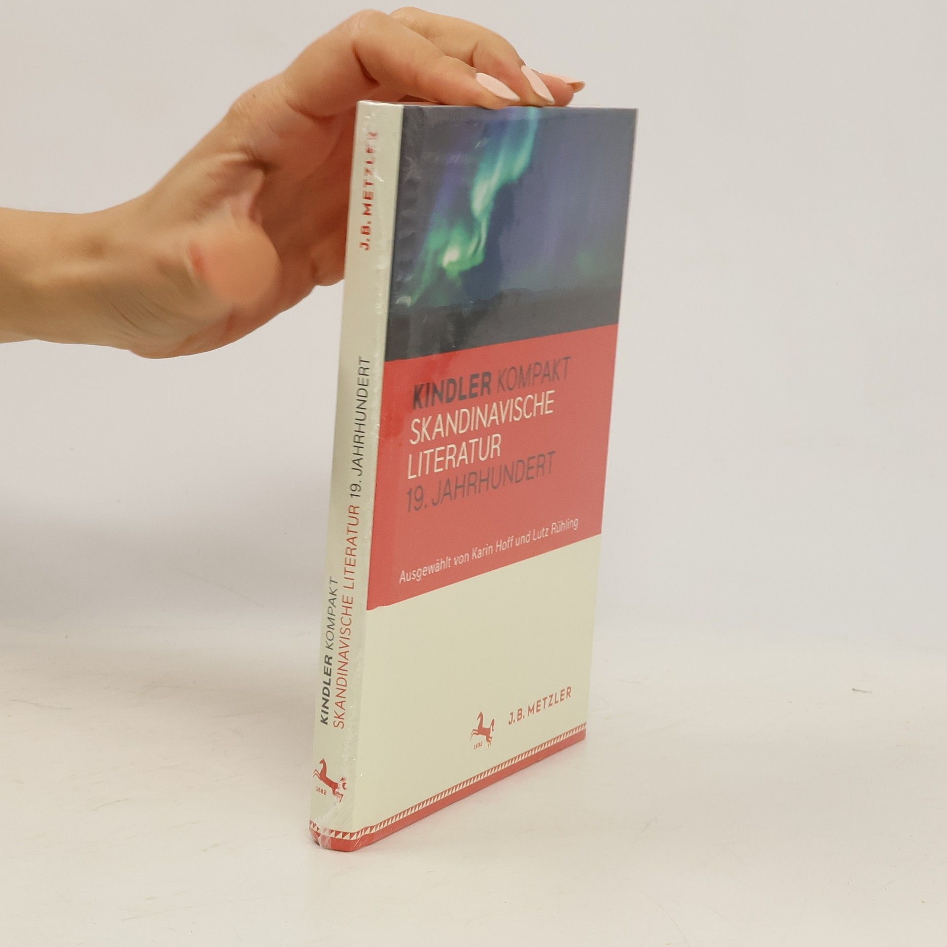 Karin Hoff Kindler kompakt Skandinavische Literatur, 19. Jahrhundert