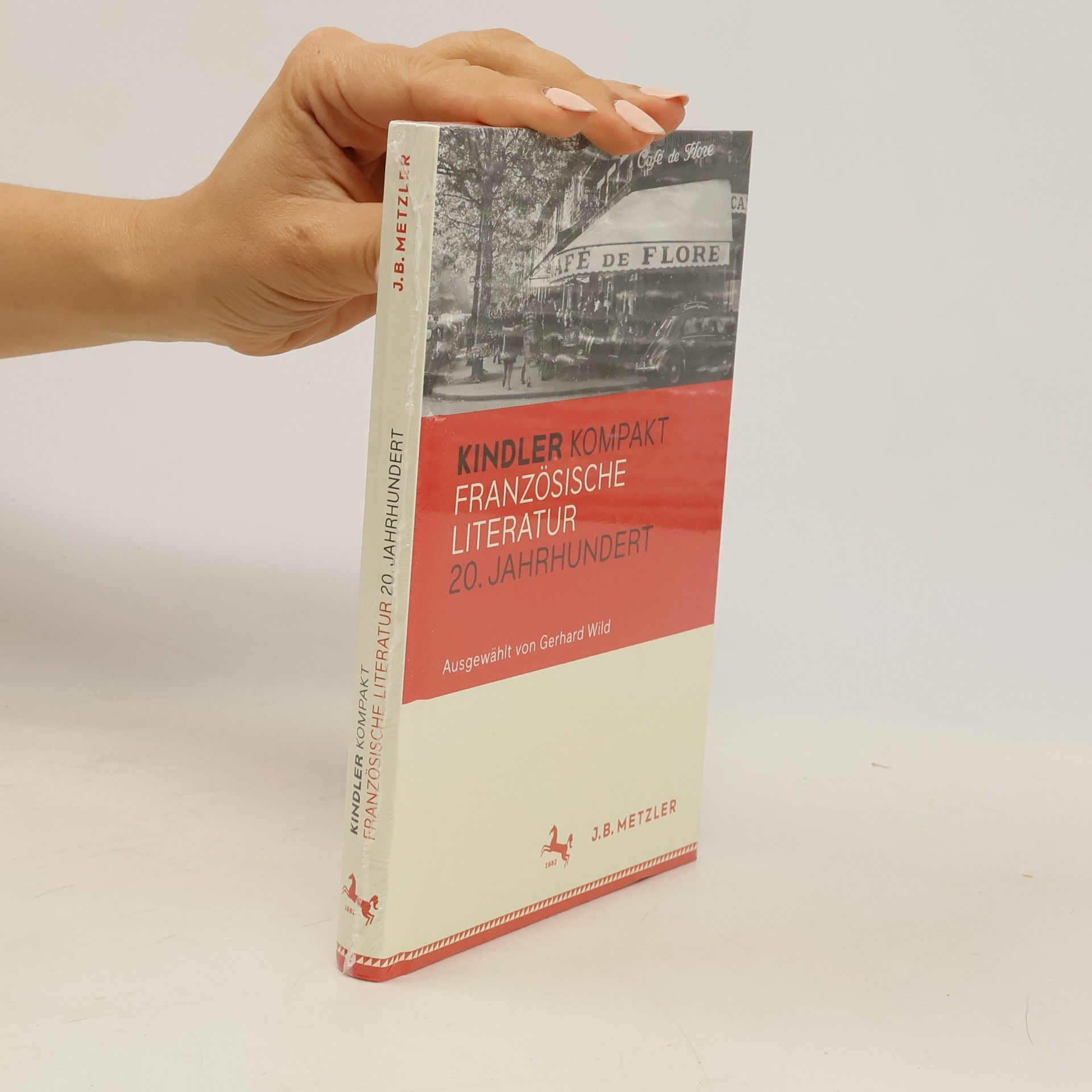 Gerhard Wild Kindler kompakt Französische Literatur, 20. Jahrhundert