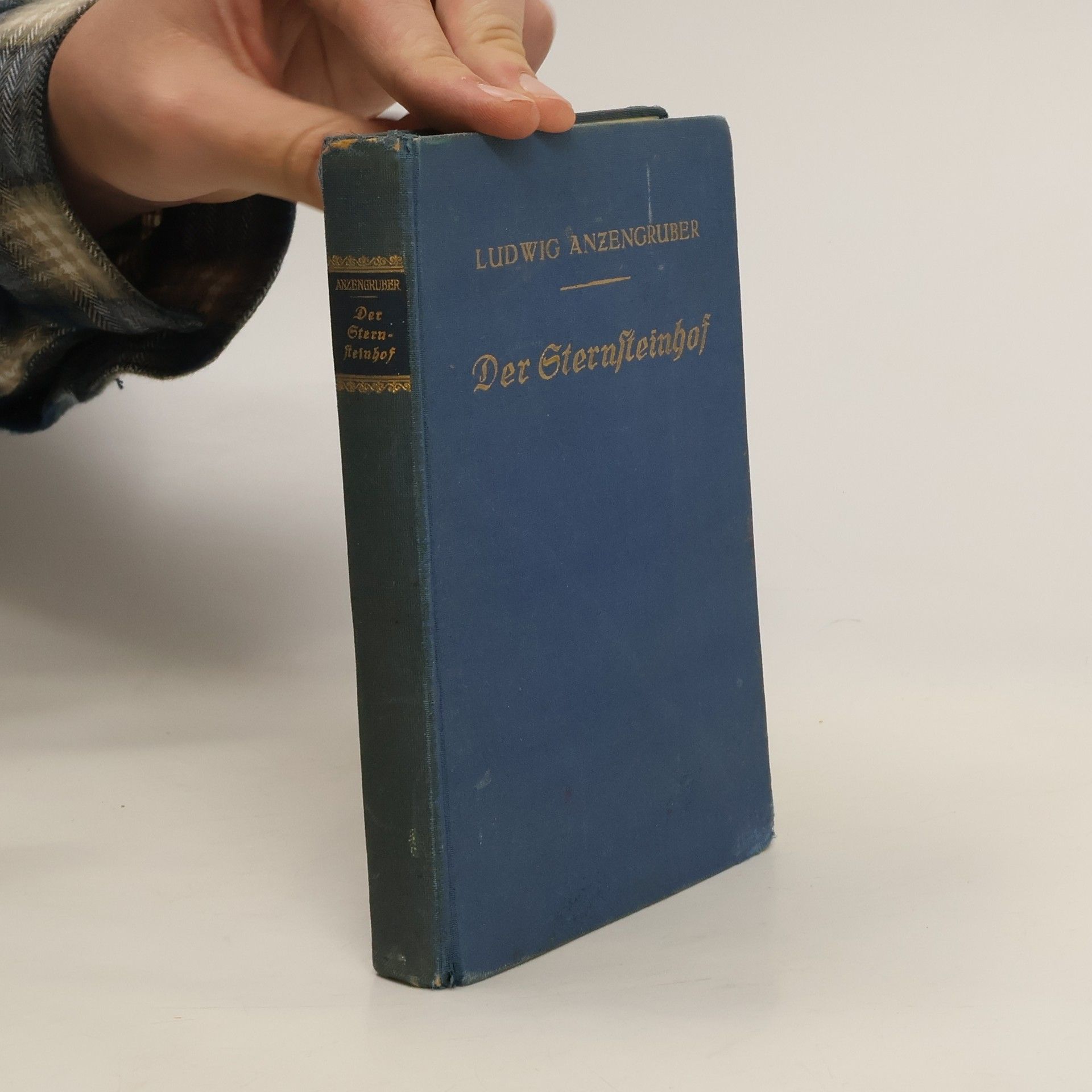 Ludwig Anzengruber Der Sternfteinhof