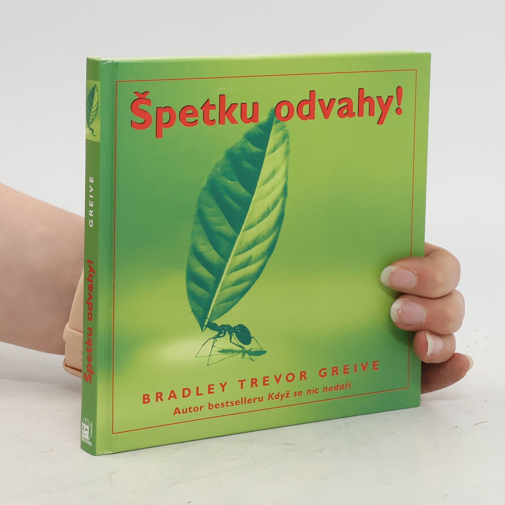 Greive Bradley Trevor Špetku odvahy!