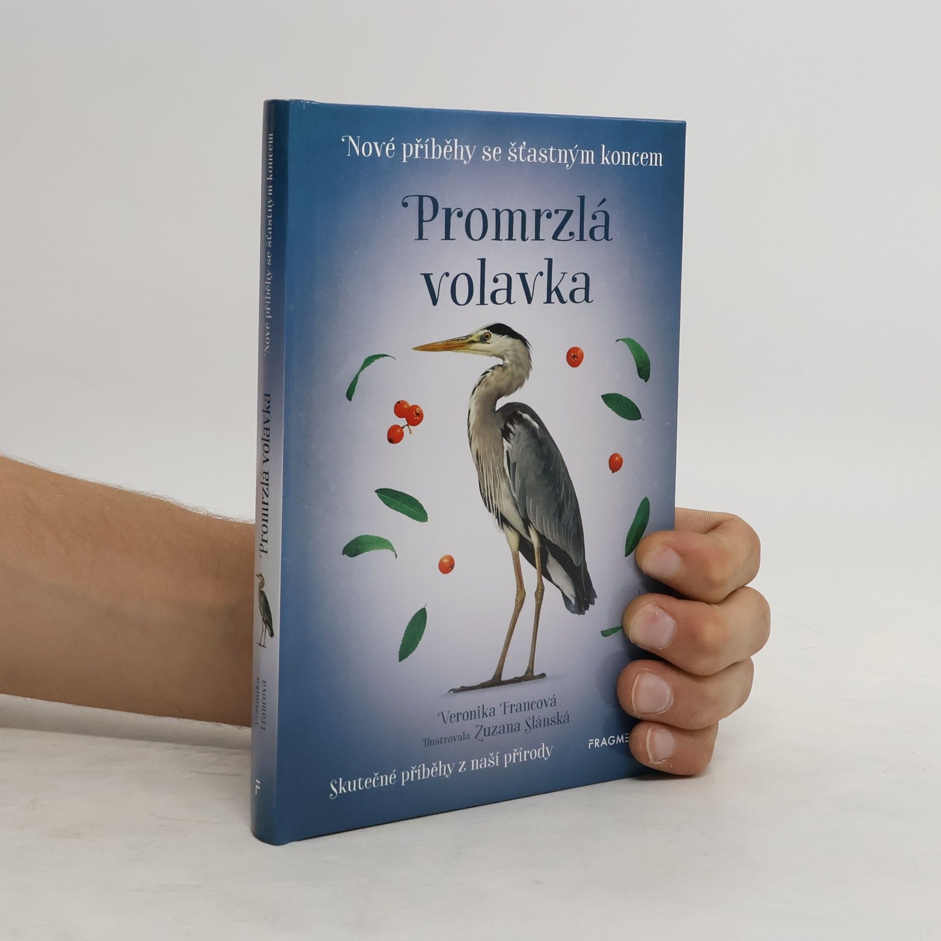 Veronika Francová Promrzlá volavka