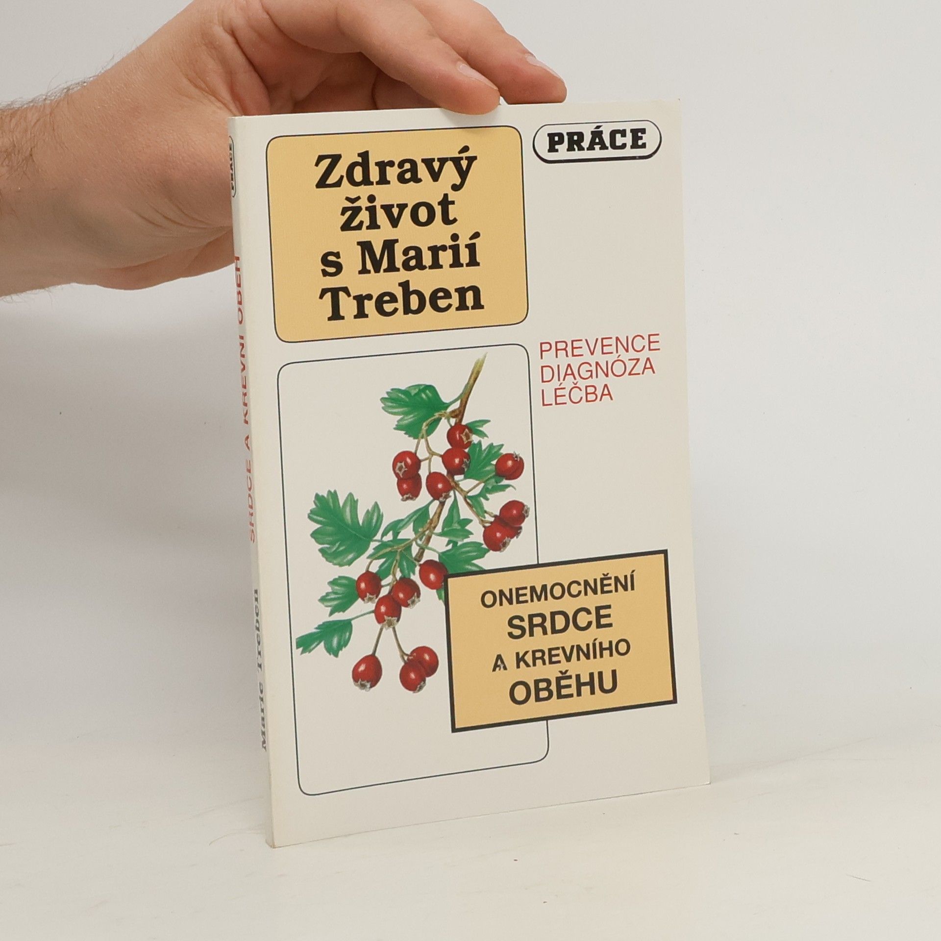 Maria Treben Onemocnění srdce a krevního oběhu: Prevence, diagnóza, léčba