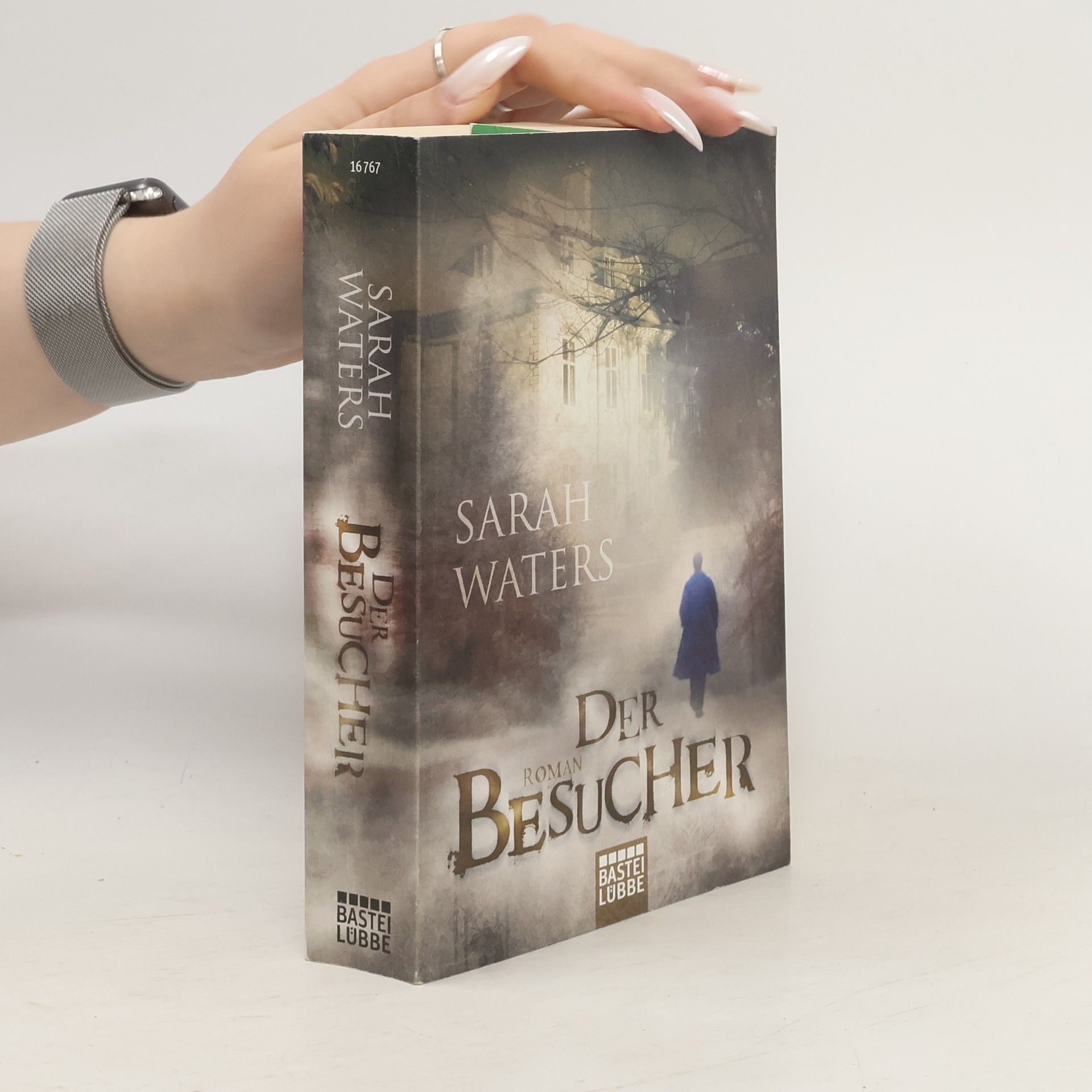 Sarah Waters Der Besucher