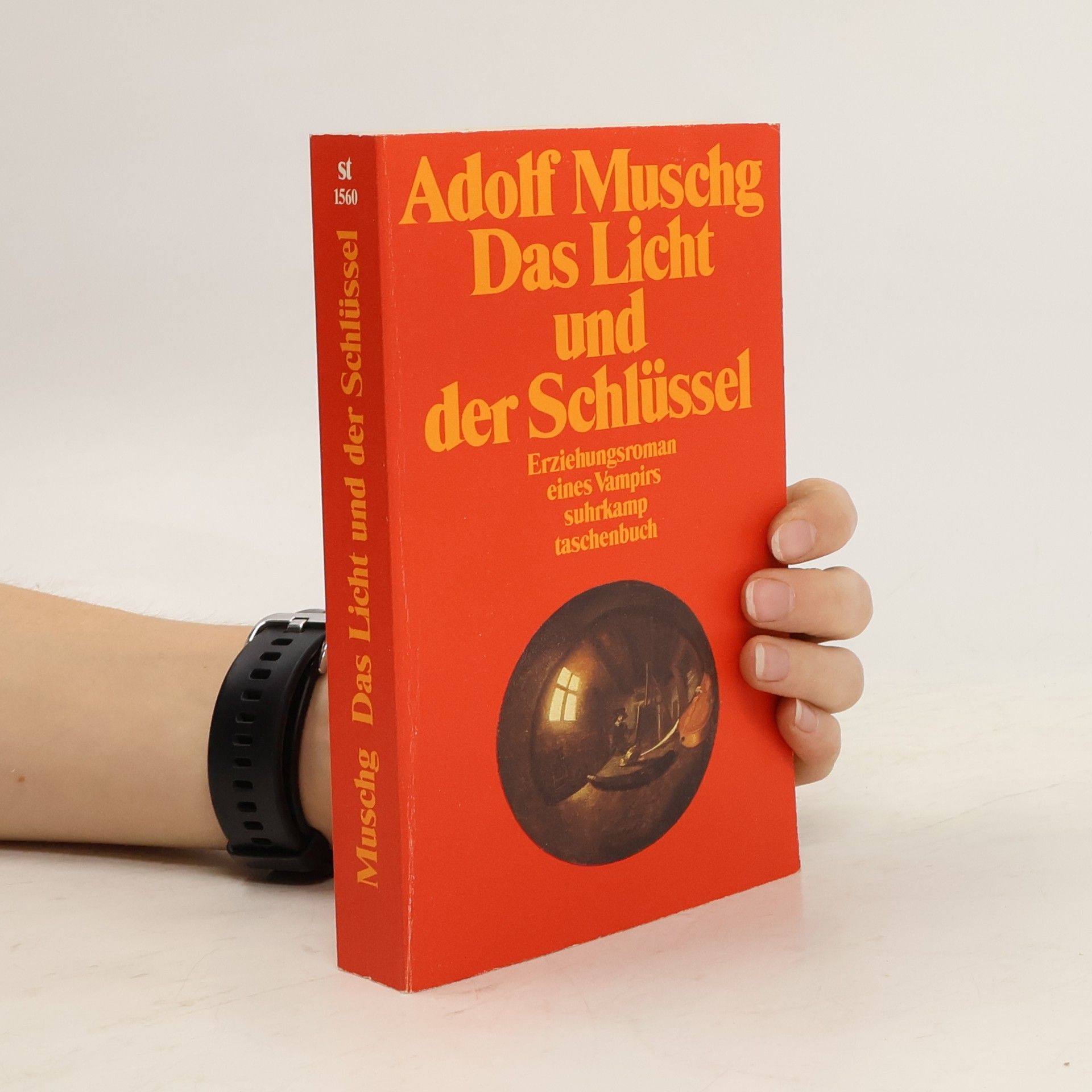 Adolf Muschg Das Licht und der Schlüssel
