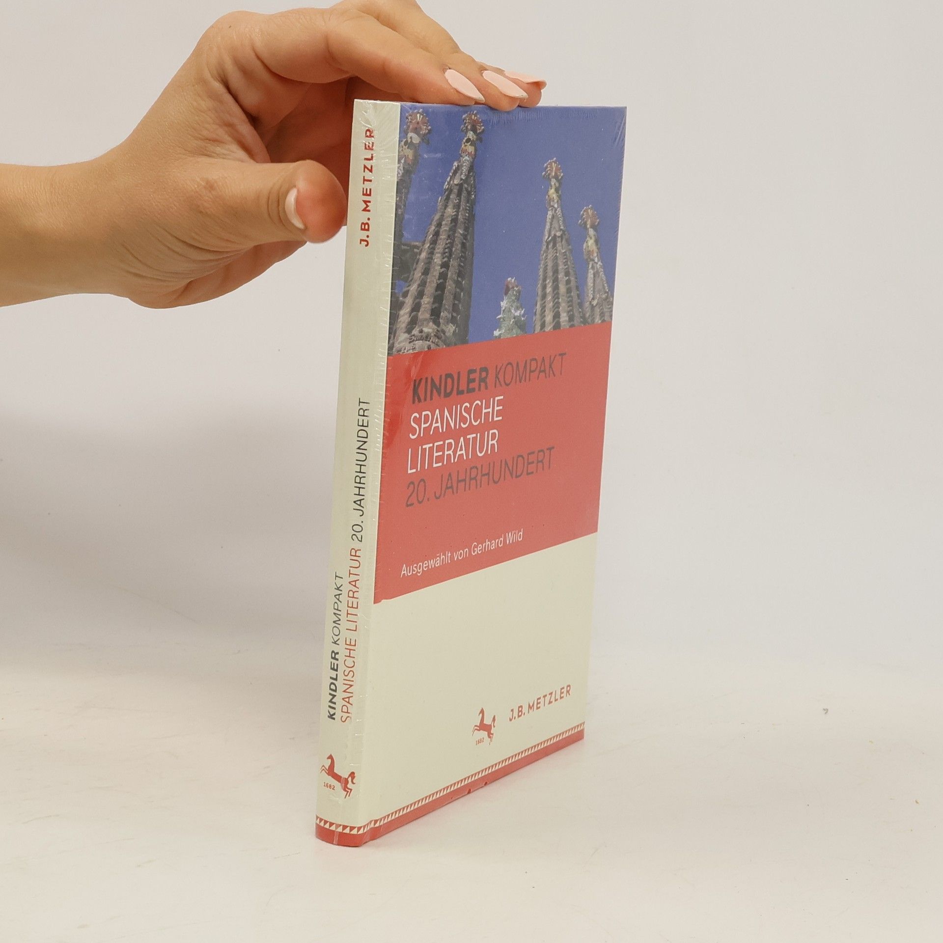 Gerhard Wild Kindler kompakt Spanische Literatur, 20. Jahrhundert