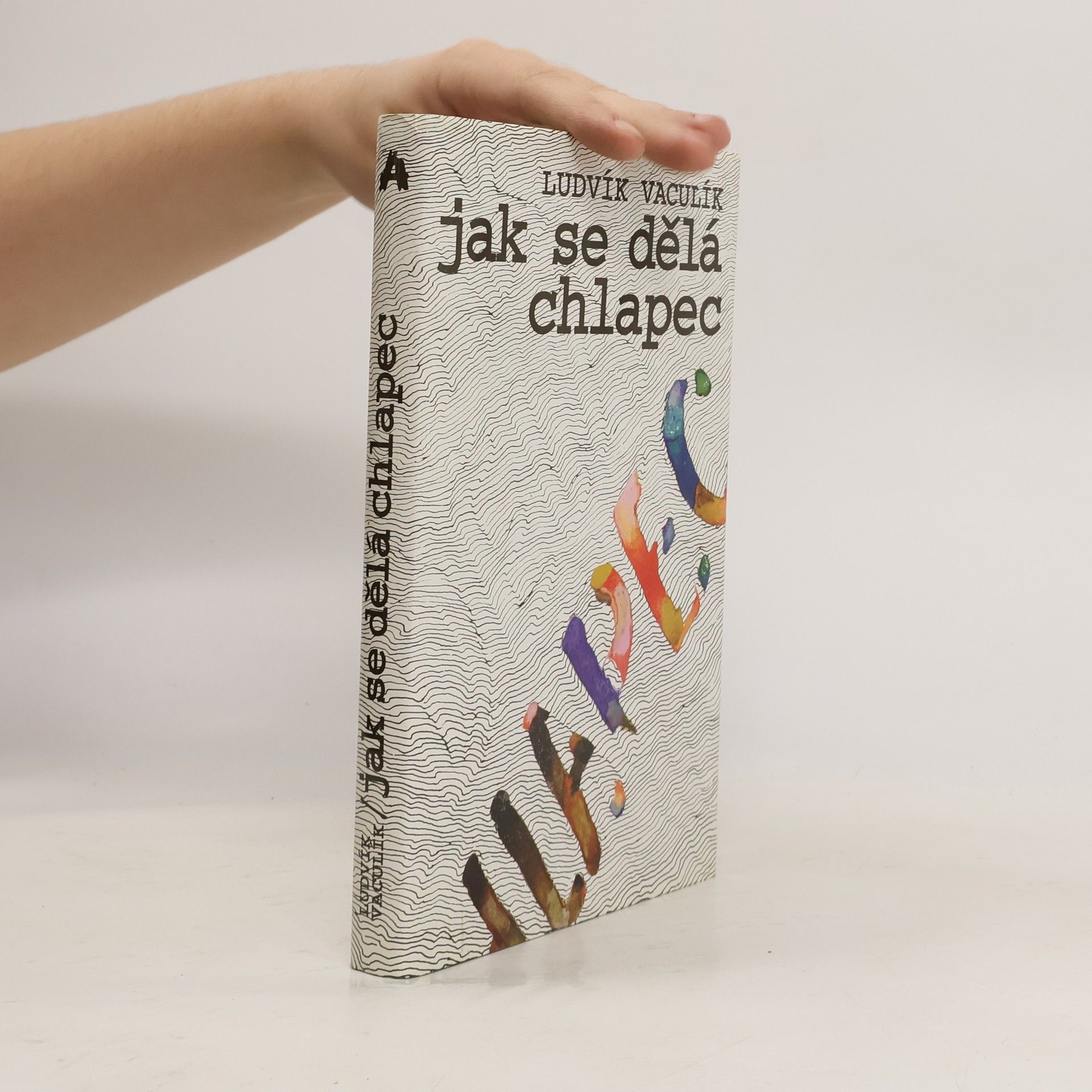 Ludvík Vaculík Jak se dělá chlapec