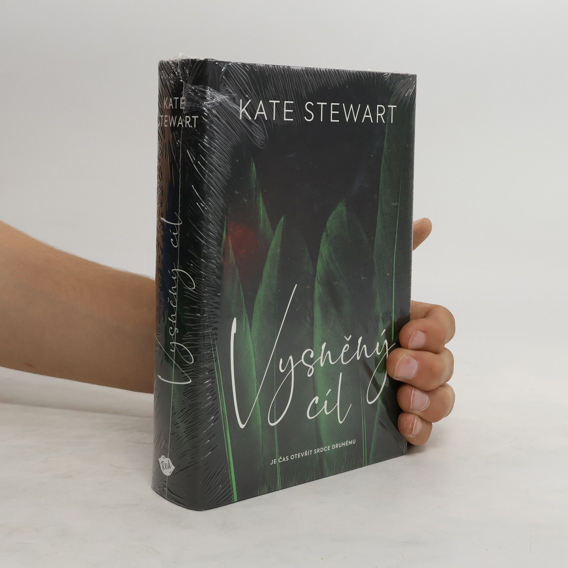 Kate Stewart Vysněný cíl. Kniha třetí