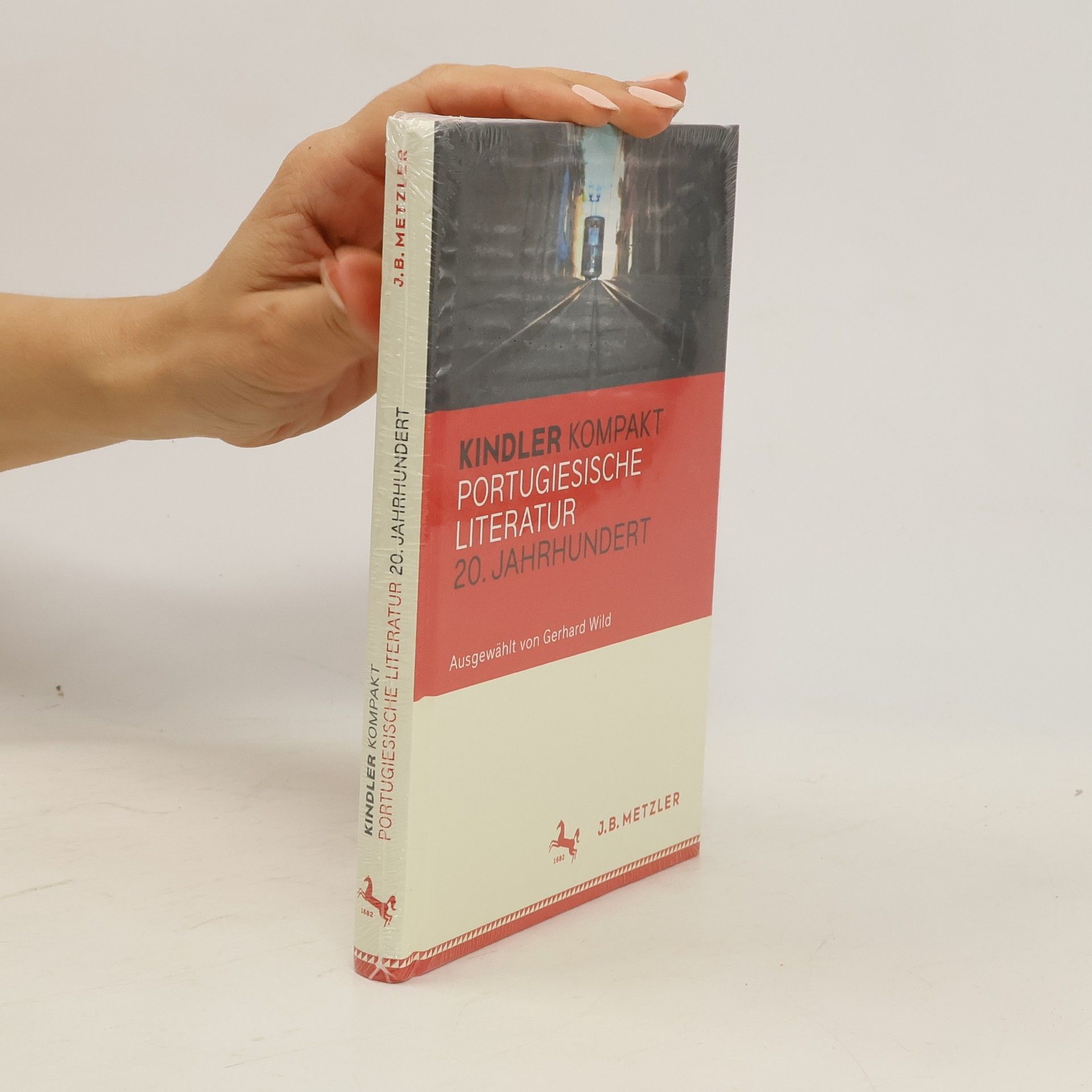 Gerhard Wild Kindler kompakt Portugiesische Literatur, 20. Jahrhundert