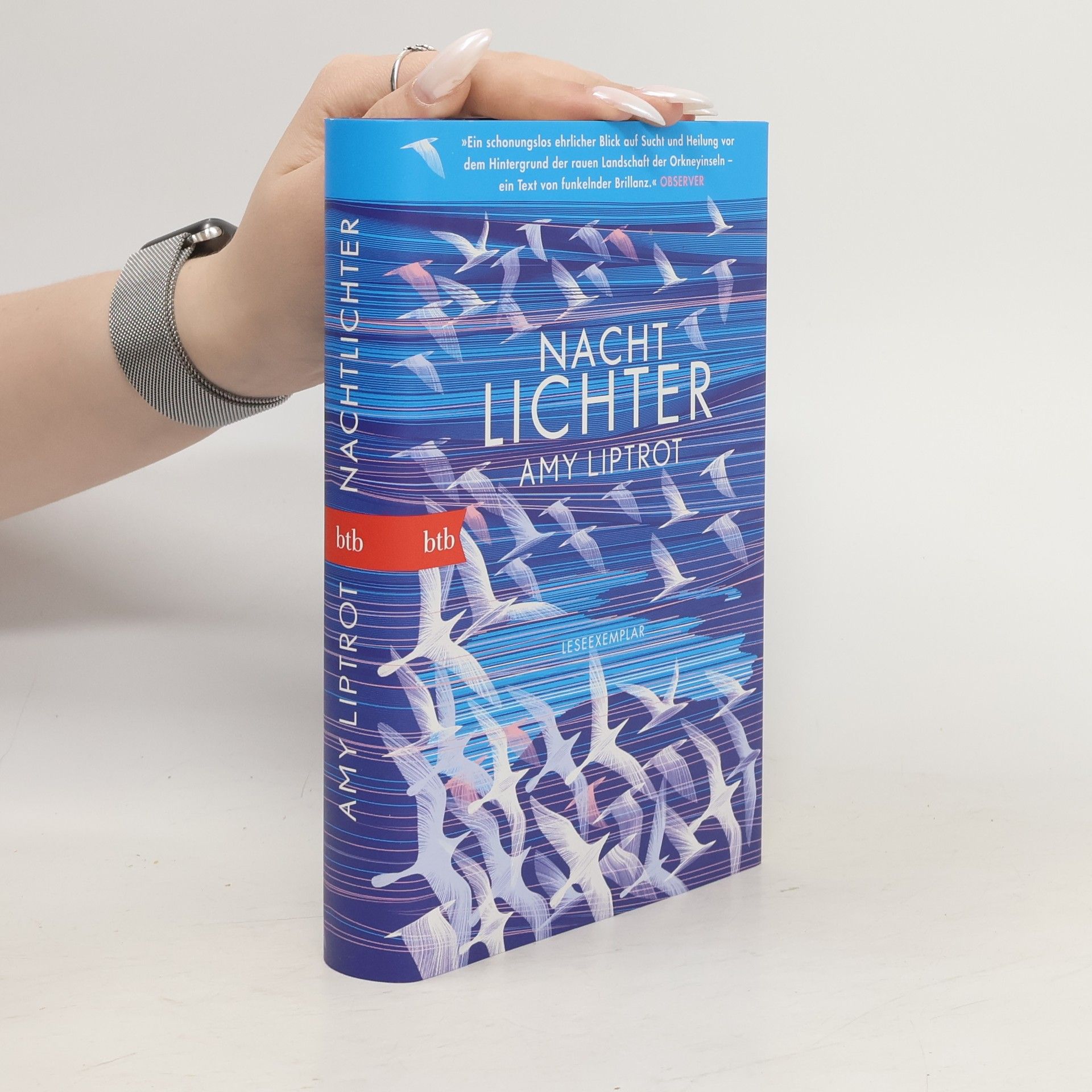 Amy Liptrot Nachtlichter