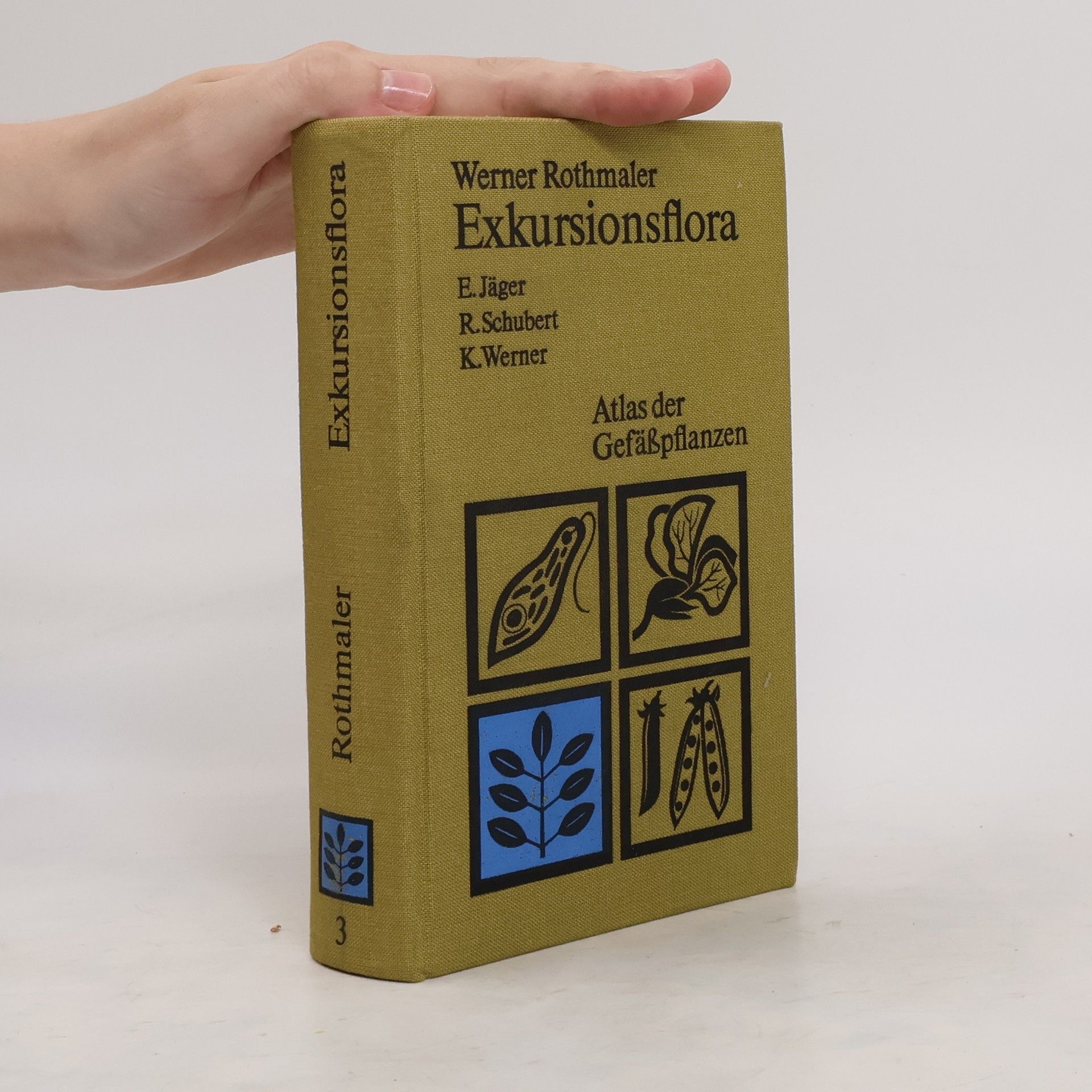 Werner Rothmaler Exkursionsflora von Deutschland. Band 3