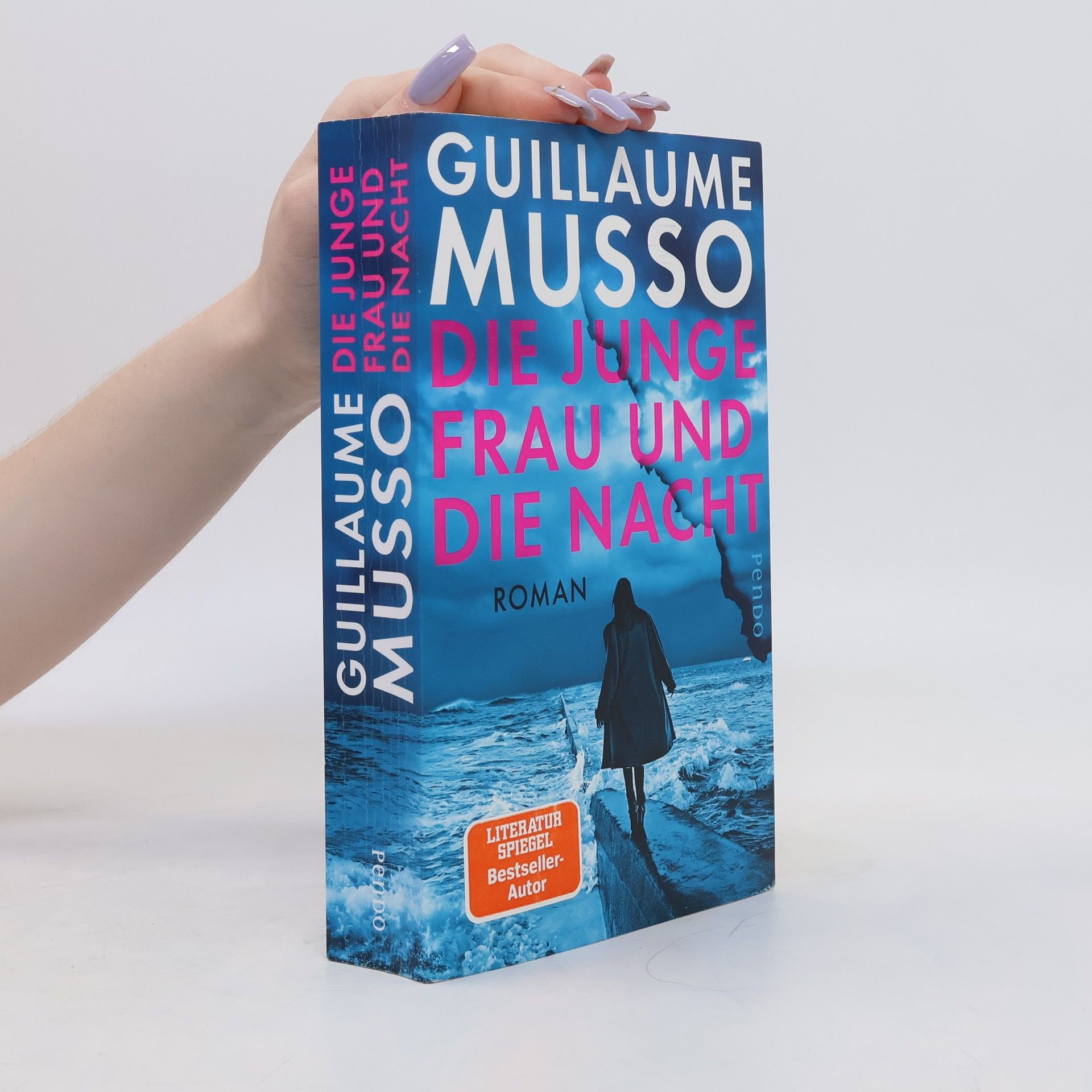 Guillaume Musso Die junge Frau und die Nacht