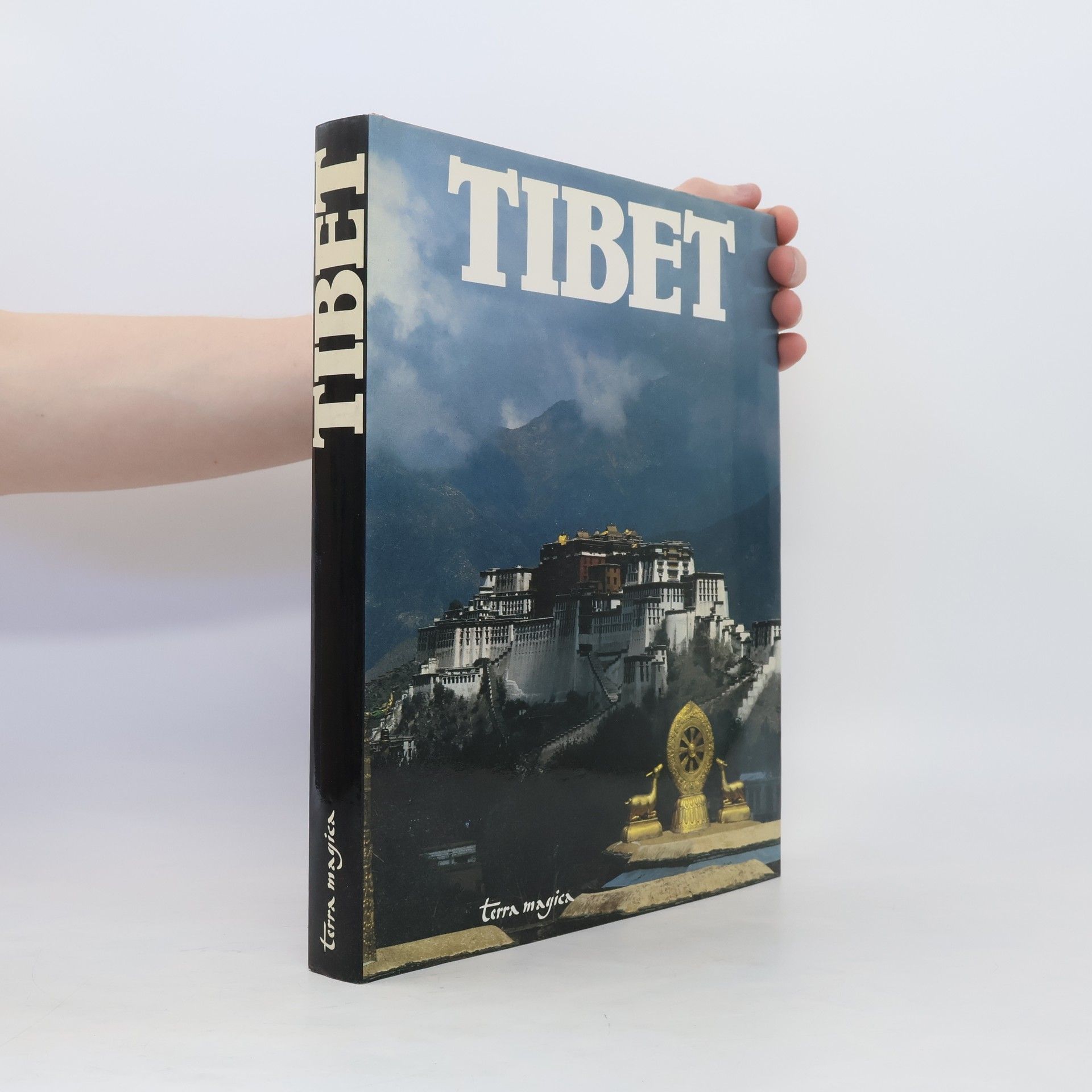 Ngag-dbang-vjigs-med Tibet