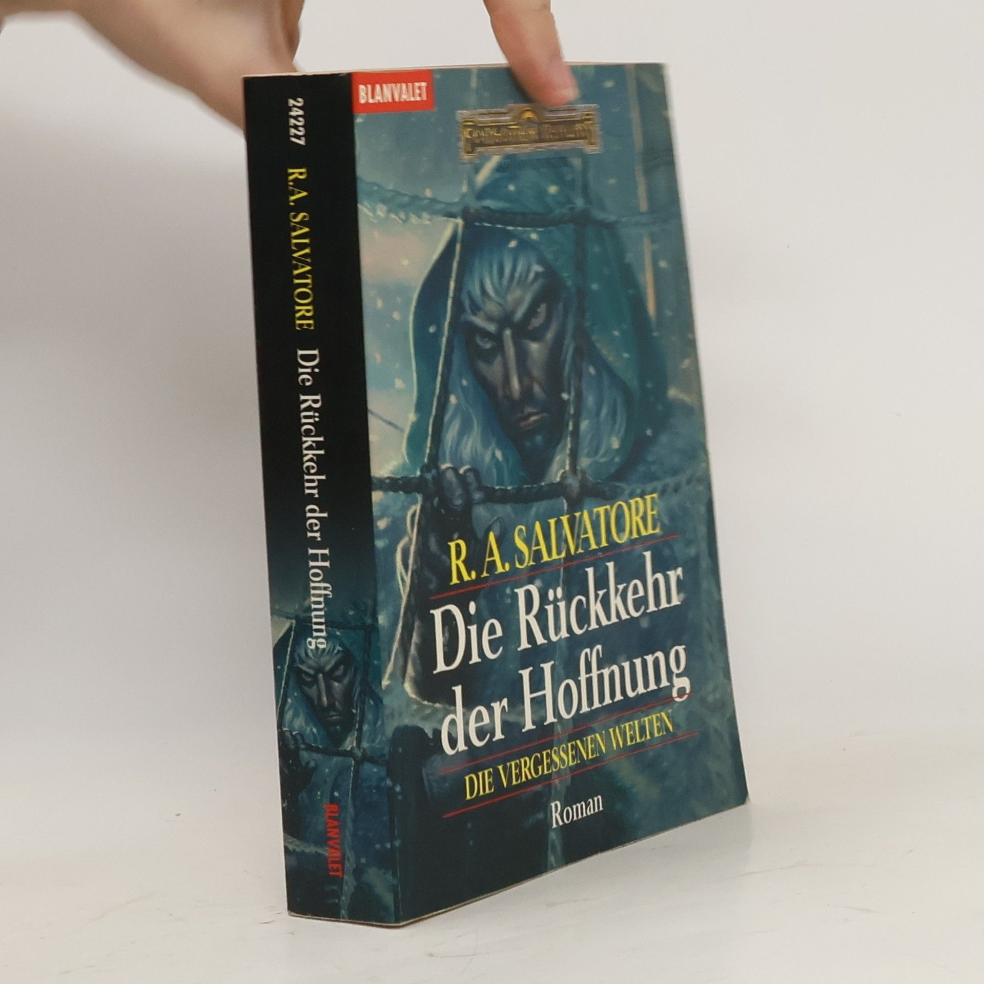 Robert Anthony Salvatore Die vergessenen Welten