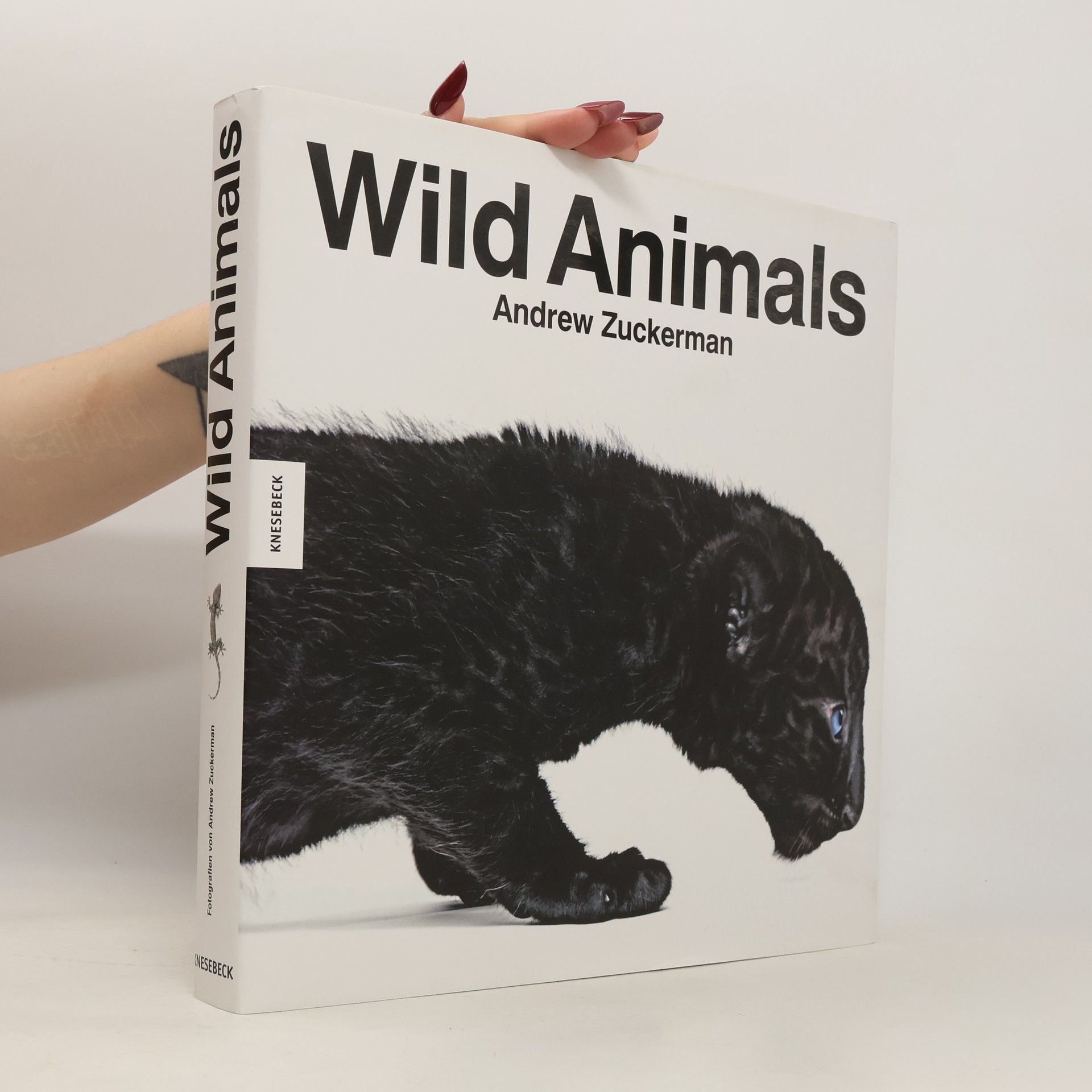 Andrew Zuckerman Wild animals